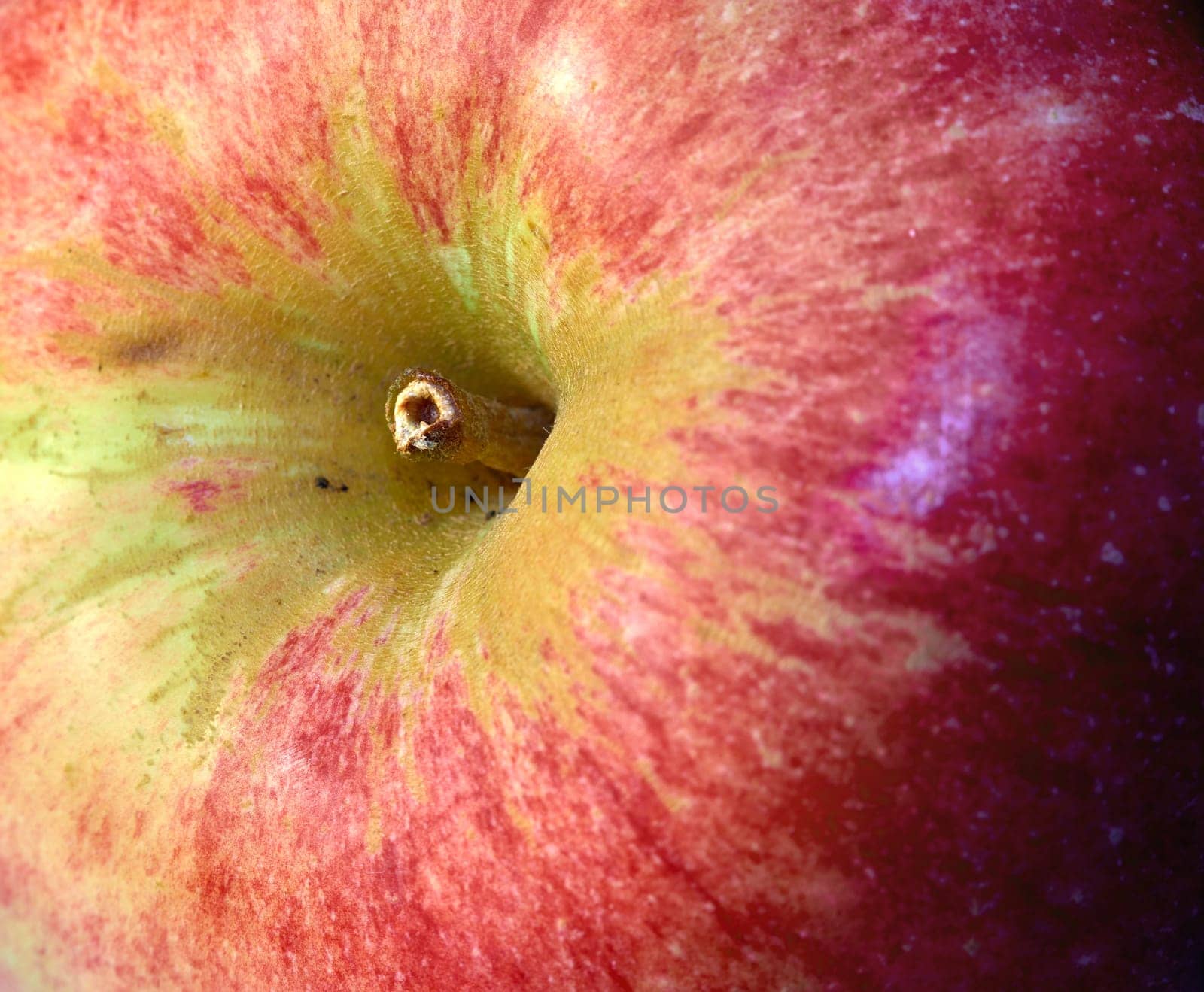 Closeup of red apple, nutrition and diet with health, wellness and organic vitamins and snack. Fruit, plant and harvest with botanical produce, horticulture and spring vegetation for agriculture.