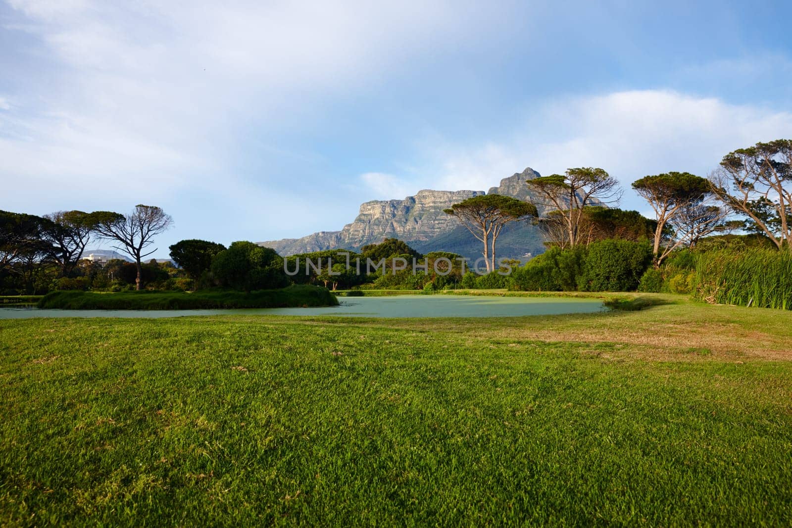 Grass, sky and trees on golf course with mountain, lake and natural landscape water in park. Nature, green and field with forest with river, sustainable environment or summer sunshine in Canada