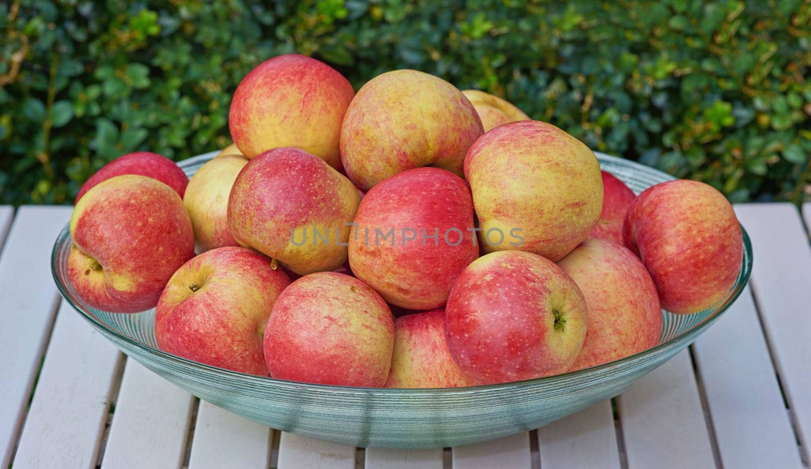 Red apples, bowl and outdoor with nutrition for wellness, healthy snack and treat with produce and harvest. Organic, fruit and growth with nature and diet plan with fiber and protein with vitamins.