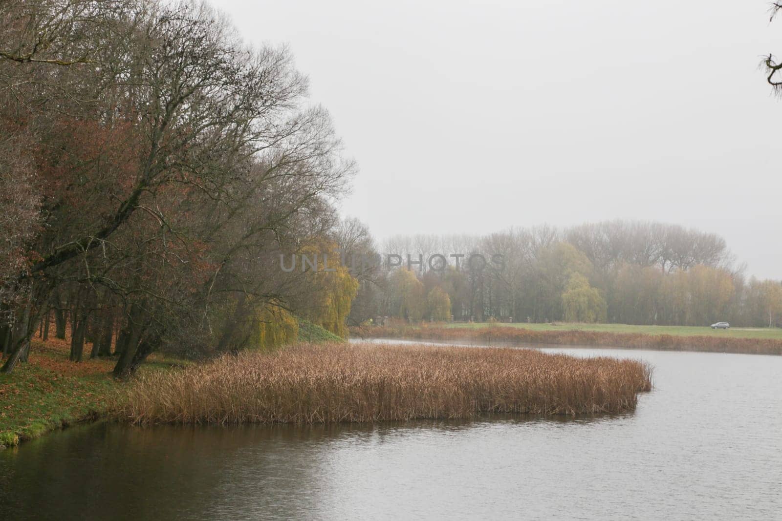 Dull autumn landscape. River bank with trees without leaves.