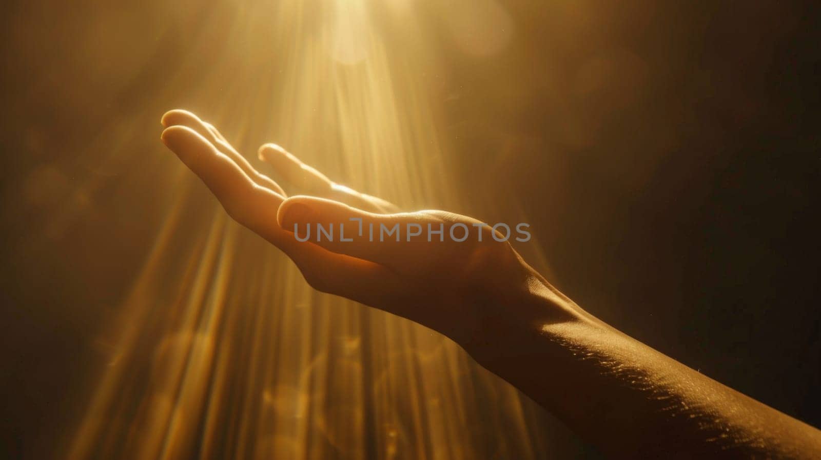 A person reaching out to the sun with their hands