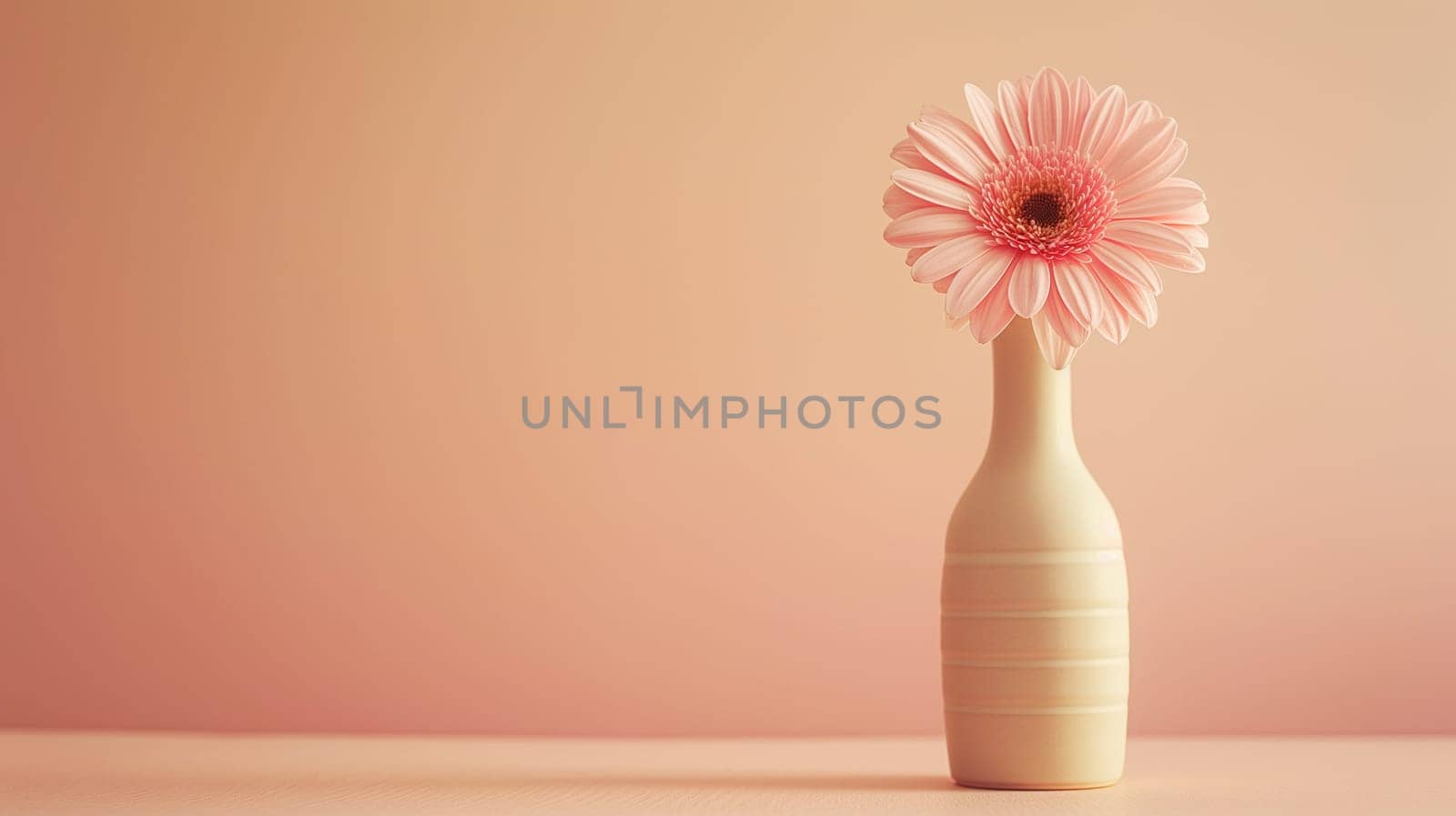 Pink Gerbera Daisy in a White Vase Against a Pastel Background by chrisroll