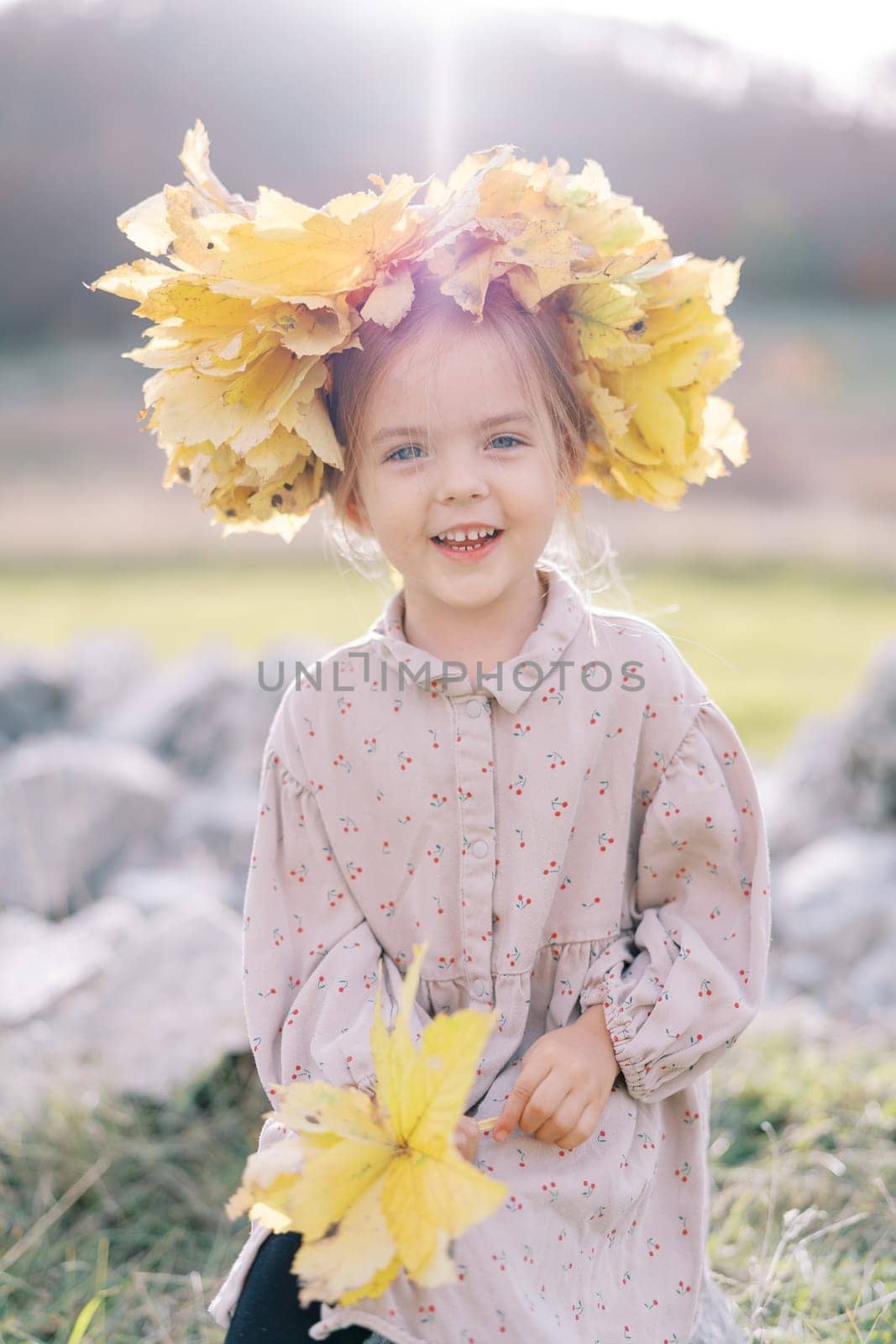 Little laughing girl in a wreath of autumn leaves sits on the lawn with yellow leaves in her hands. High quality photo