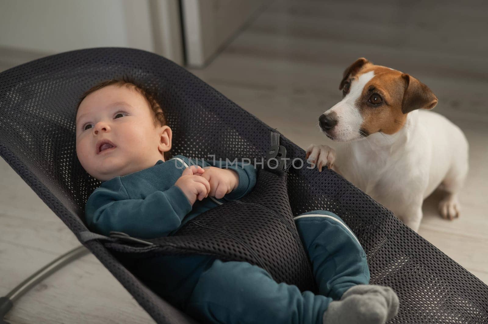 A dog sits next to a cute three-month-old boy dressed in a blue overalls in a baby lounger. by mrwed54