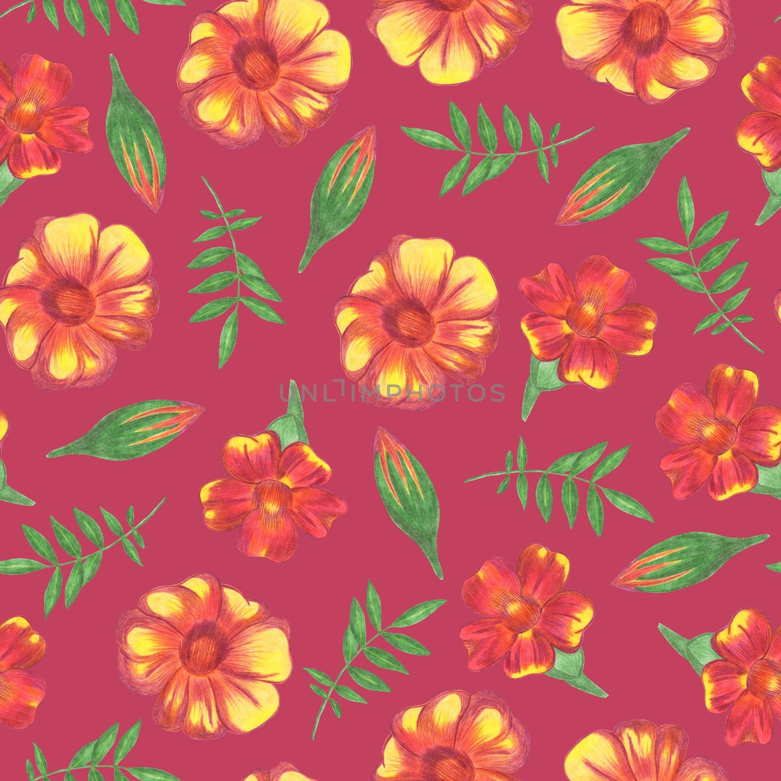 Marigold Flower Seamless Pattern. Hand Drawn Floral Digital Paper on Red Background.
