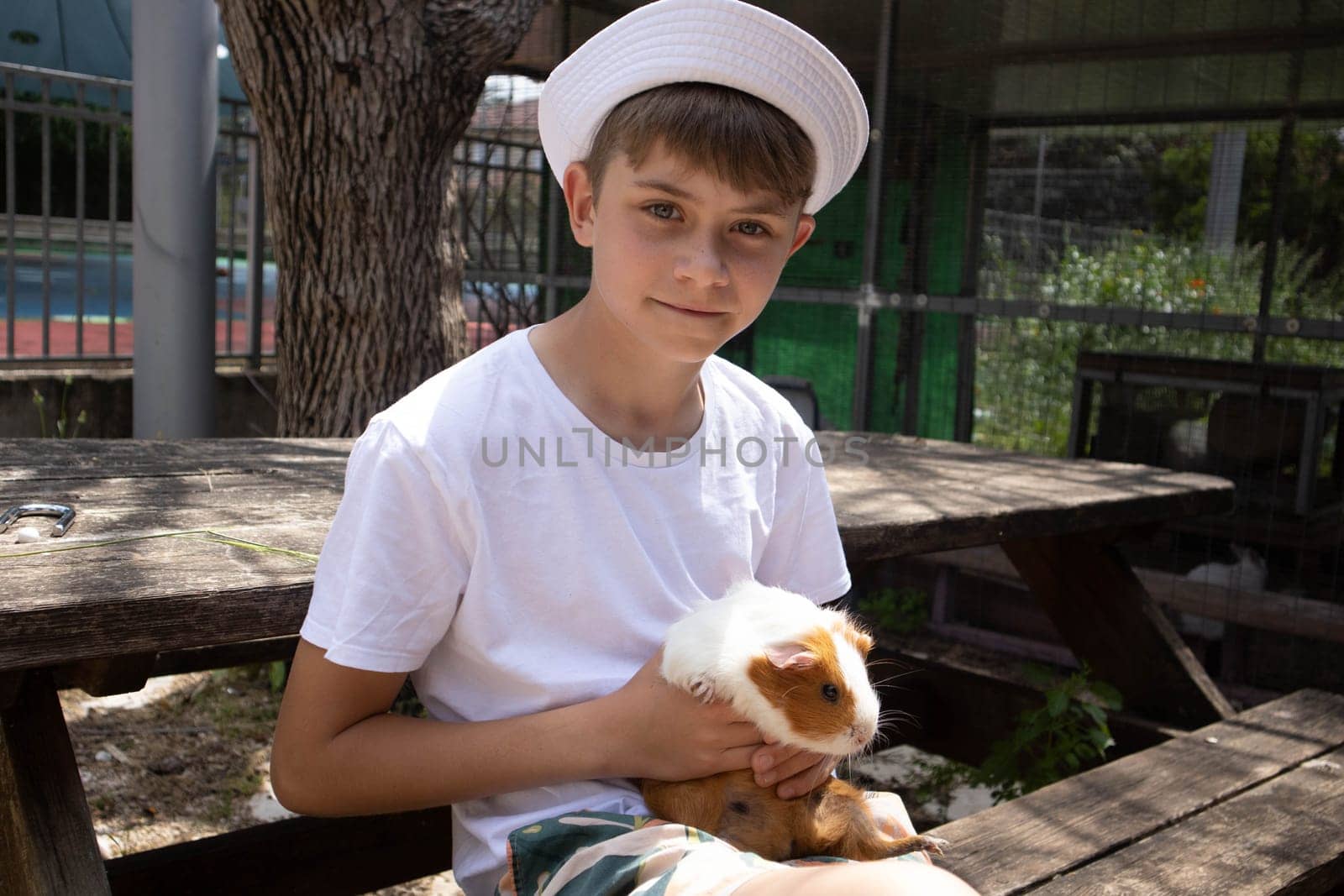Boy holding a guinea pig in his arms. High quality photo