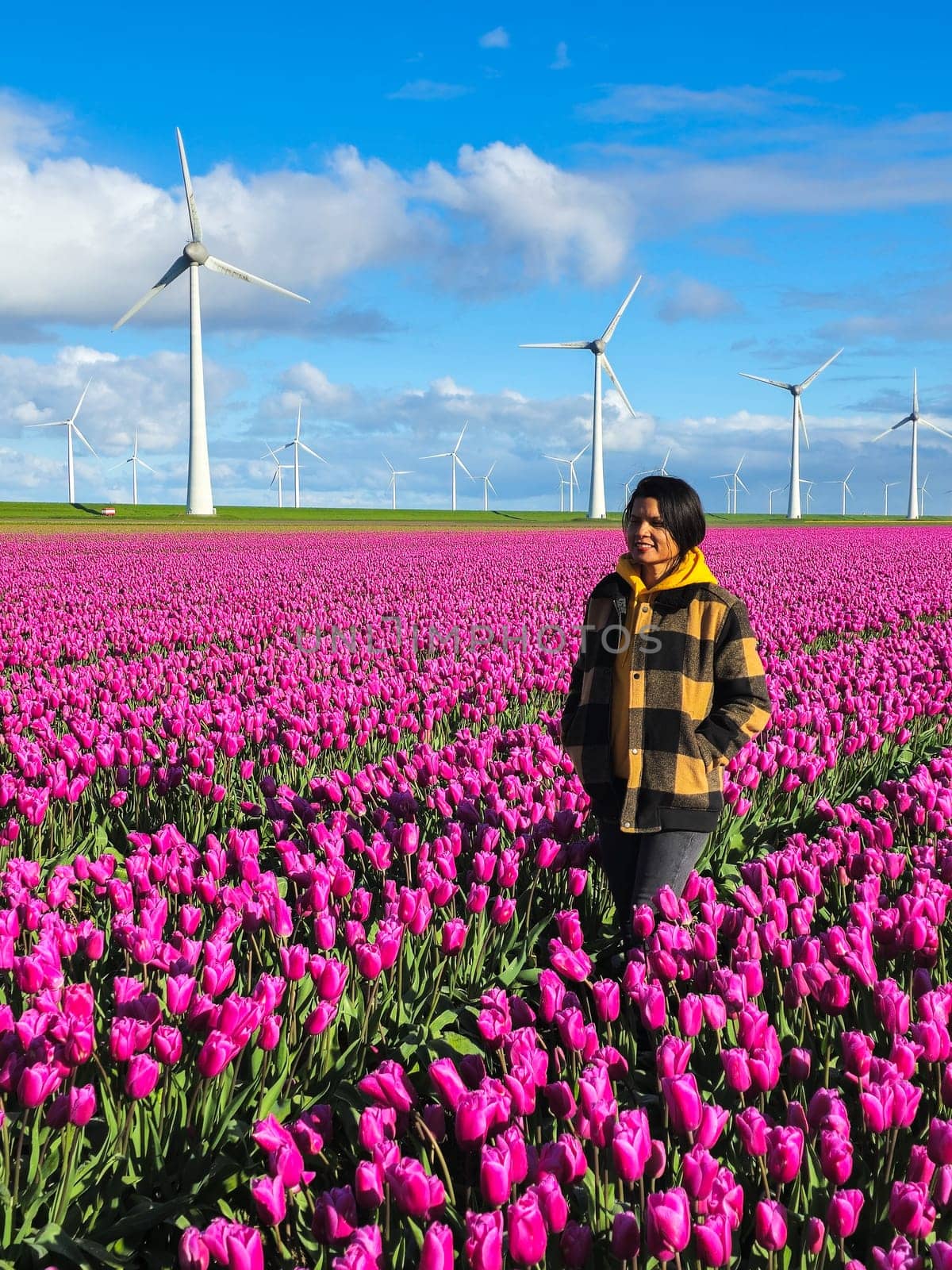 A Asian woman stands gracefully amongst a field of vibrant purple tulips, her gaze fixed on the beauty surrounding her in the Dutch Spring in the Noordoostpolder Netherlands