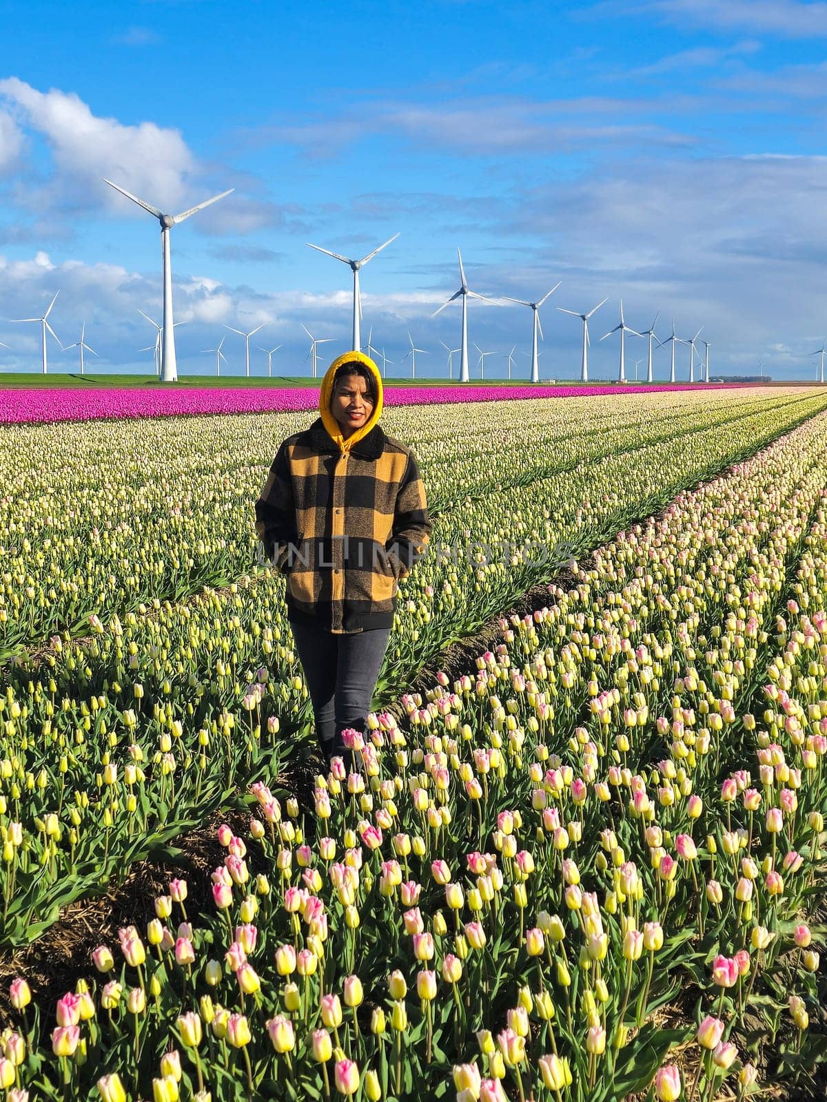 A woman gracefully stands in a vibrant field of tulips, surrounded by bursts of colorful petals under the Dutch windmill turbines in Spring by fokkebok