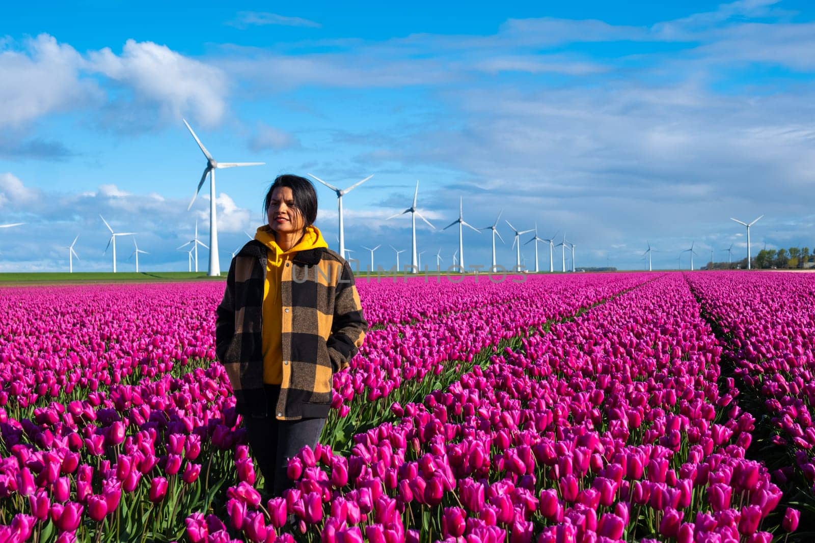 A woman stands gracefully in a vast field of purple tulips, surrounded by the beauty of spring in the Netherlands by fokkebok