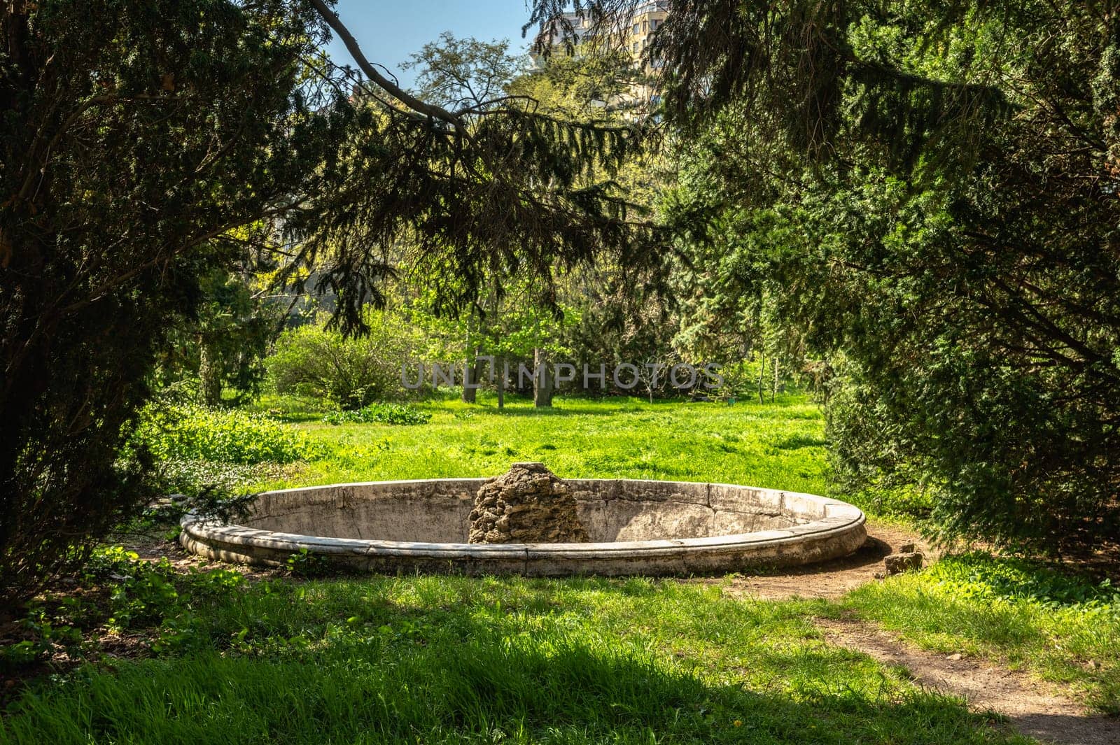 Spring flowers and plants in a botanic garden by Multipedia