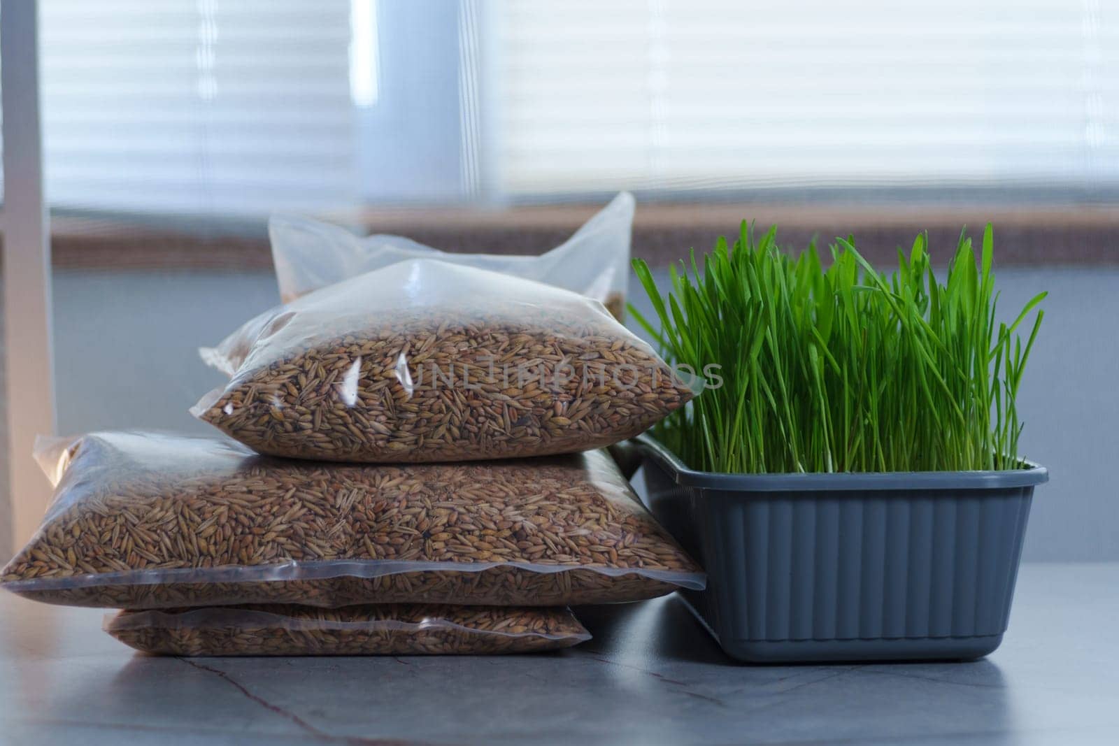 Two bags filled with cat grass sit atop a wooden table.