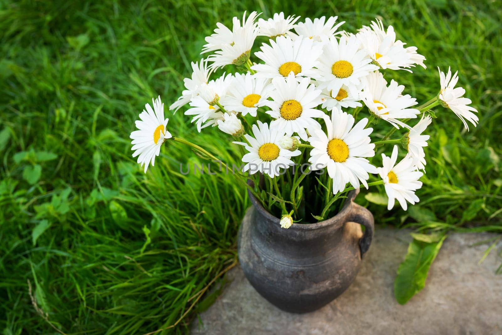 A rustic jug holds a bouquet of fresh white daisies on lush green grass under natural light