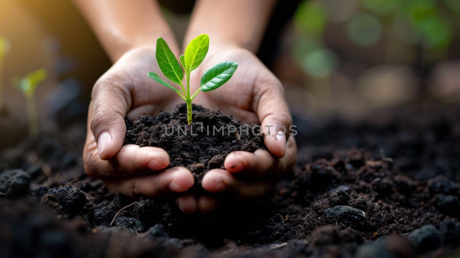 A person holding a small plant in their hands