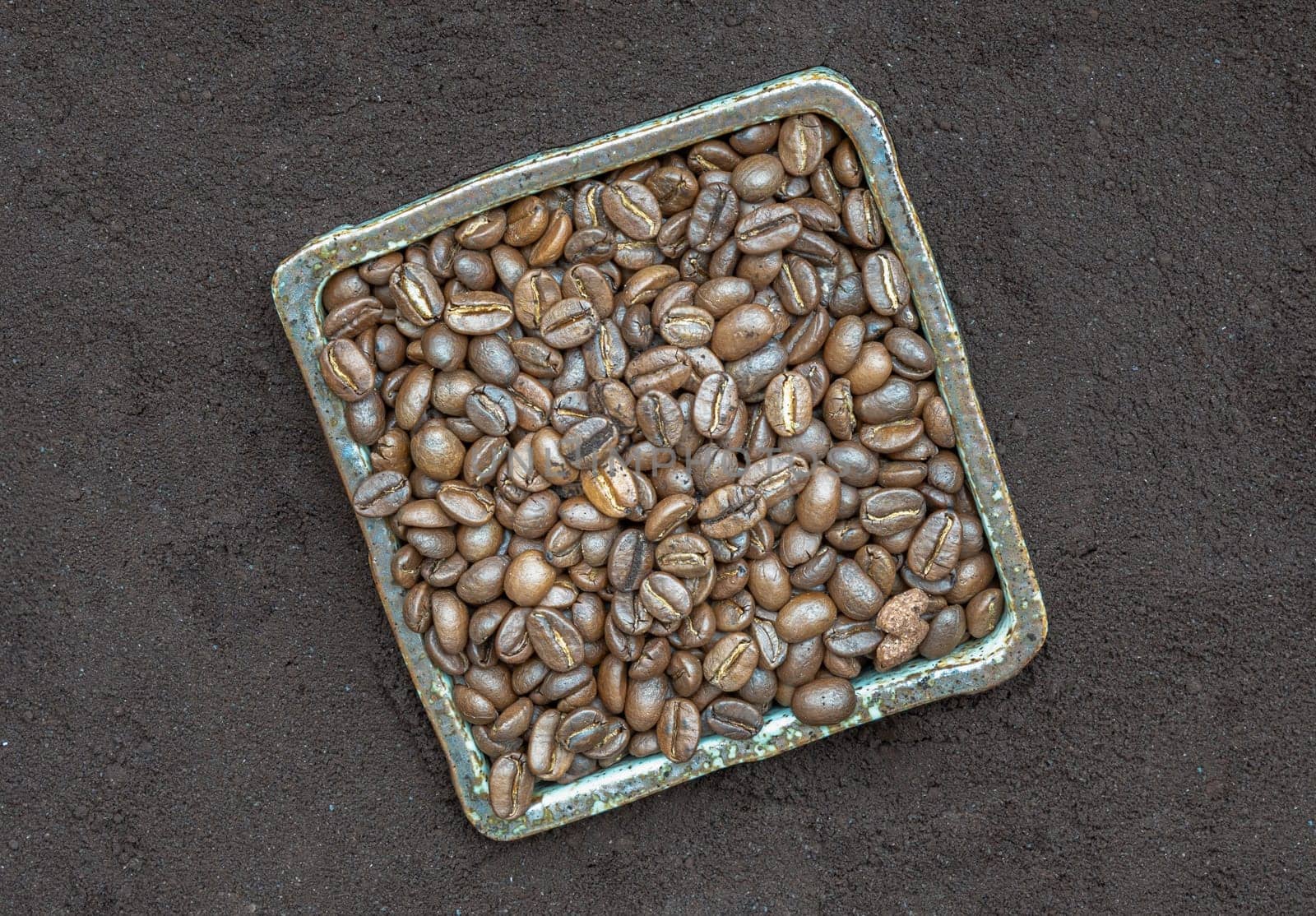 Coffee beans in ceramic square bowl with Coffee powder background. lternative coffee for living life, Coffee concept, Copy space, Selective focus.