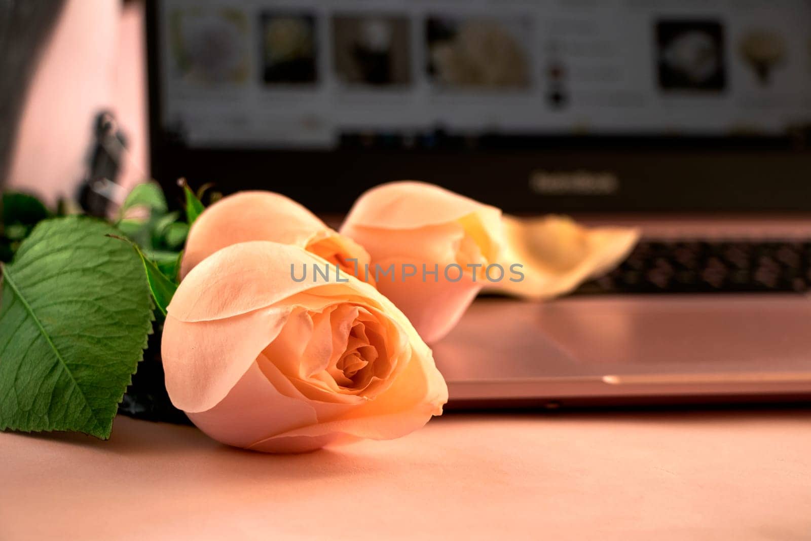 a bouquet of flowers on the table against the backdrop of a laptop. The concept of ordering flowers online, buying flowers in online stores. Buying and selling rose , online order