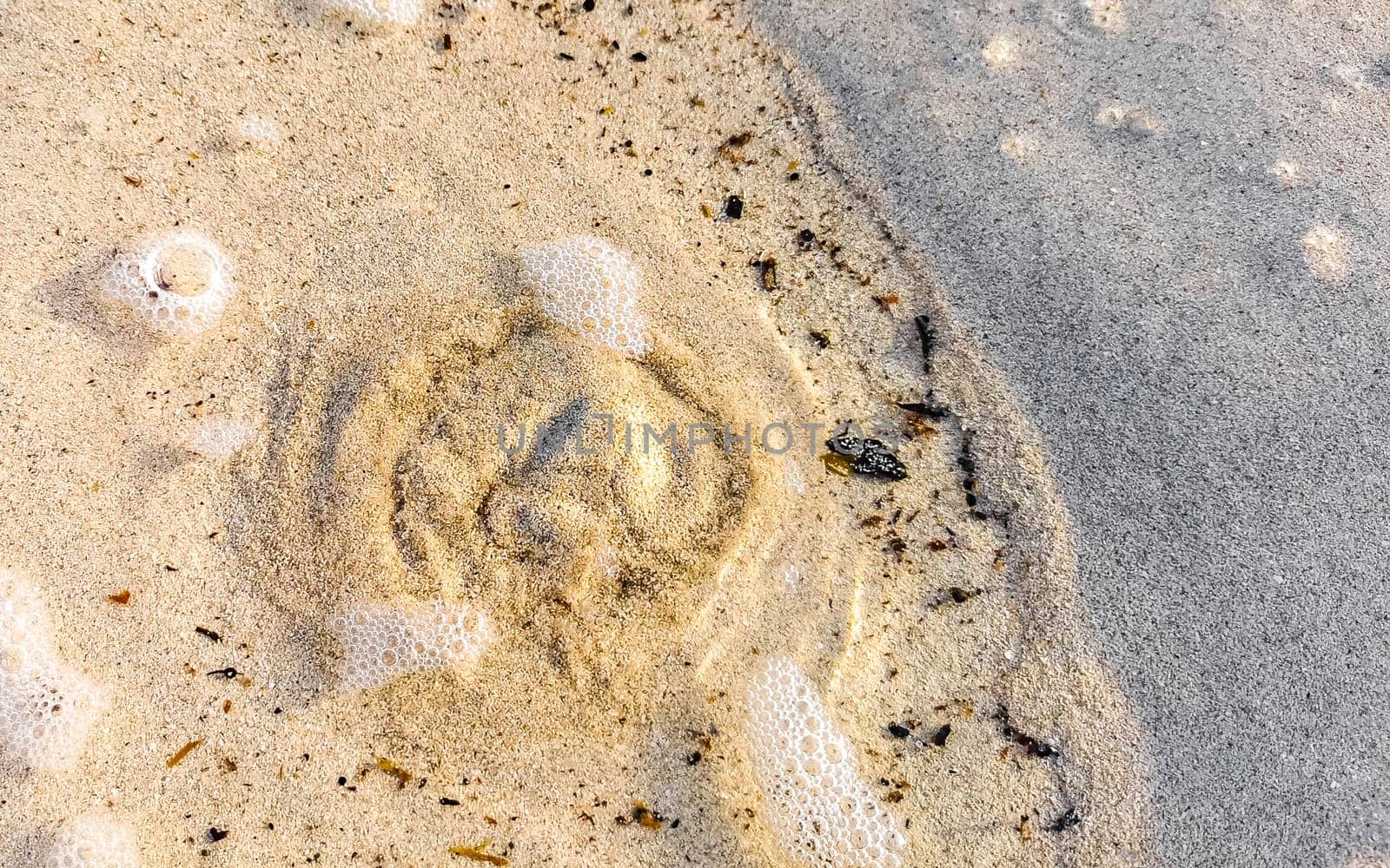 Beautiful small mini cenote cave water waves at the beach ocean with sand in Playa del Carmen in Quintana Roo Mexico.