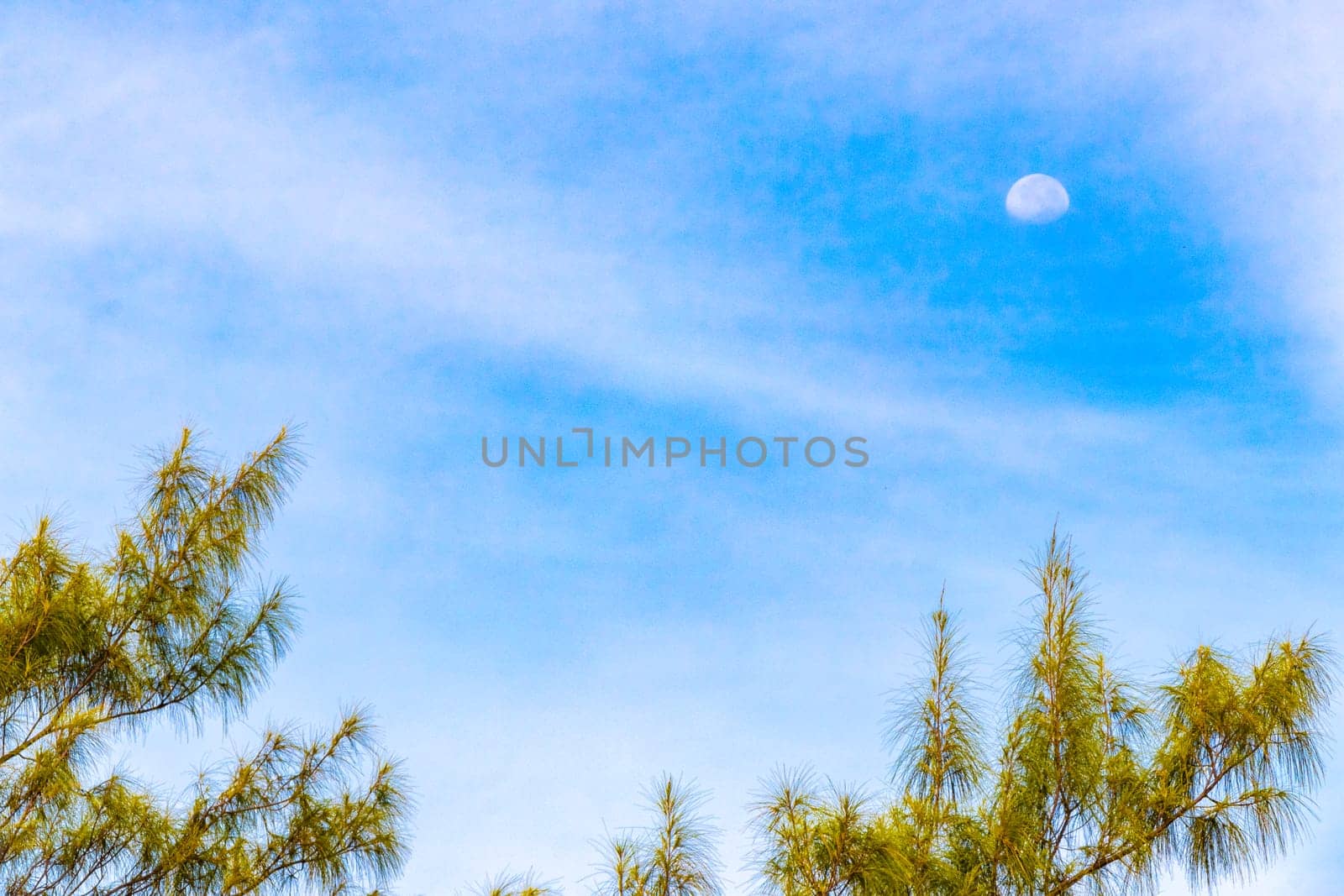 Crescent half full moon in the blue sky during the day with clouds in Playa del Carmen Quintana Roo Mexico.
