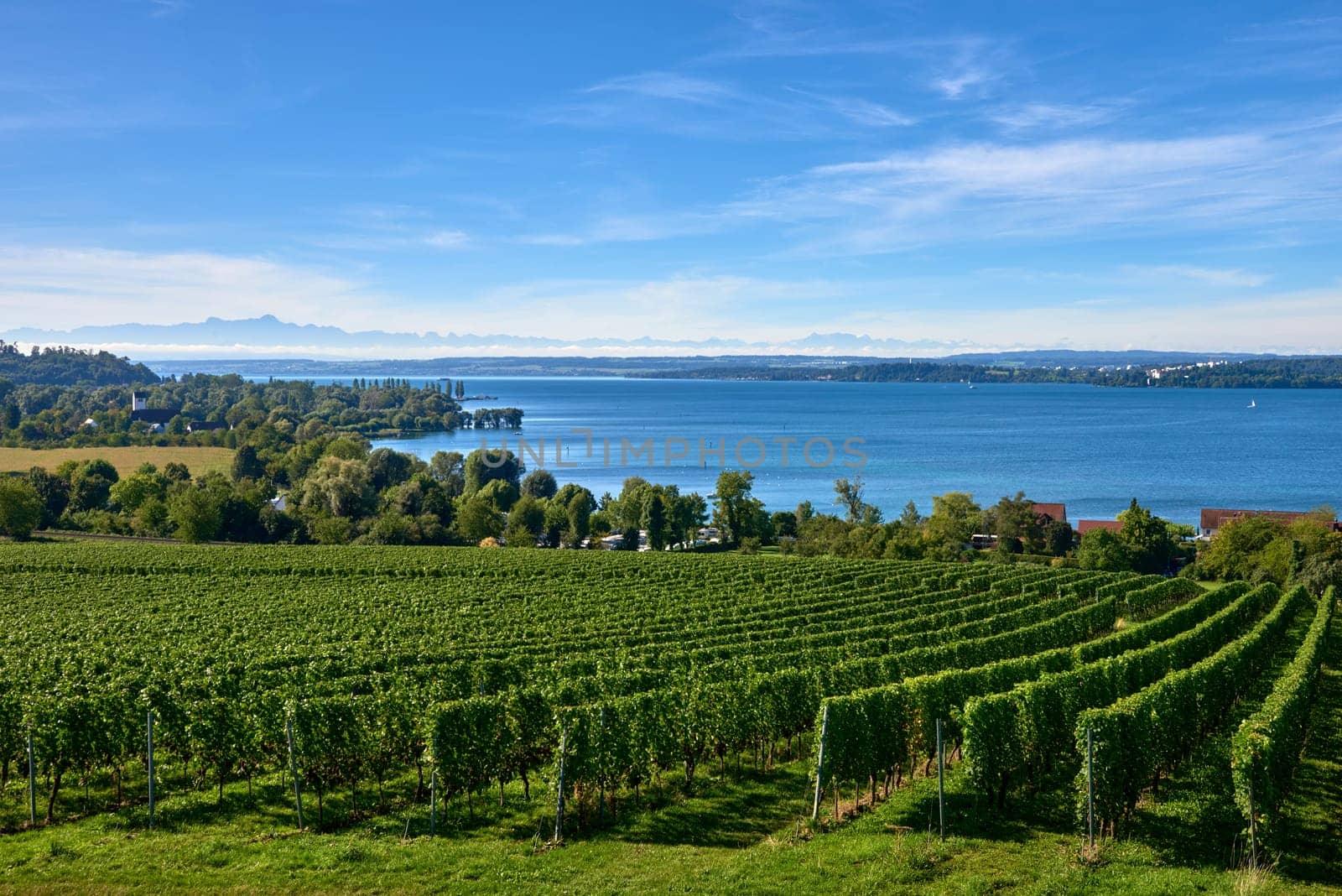 Bodensee Panorama: Alps on the Horizon, Vineyards, and Pastoral Beauty. Alpine Horizon: Bodensee, Vineyards, and Quaint Villages in the German Countryside. Vineyard Vistas: Bodensee, Alpine Peaks, and the Rural Charm of German Agriculture. Rural Tranquility: Bodensee Overlooking Pastures, Vineyards, and Traditional Villages by Andrii_Ko