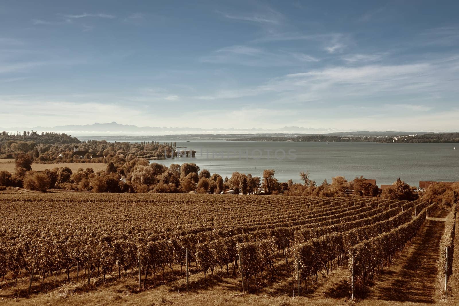 Bodensee Panorama: Alps on the Horizon, Vineyards, and Pastoral Beauty. Alpine Horizon: Bodensee, Vineyards, and Quaint Villages in the German Countryside. Vineyard Vistas: Bodensee, Alpine Peaks, and the Rural Charm of German Agriculture. Rural Tranquility: Bodensee Overlooking Pastures, Vineyards, and Traditional Villages,