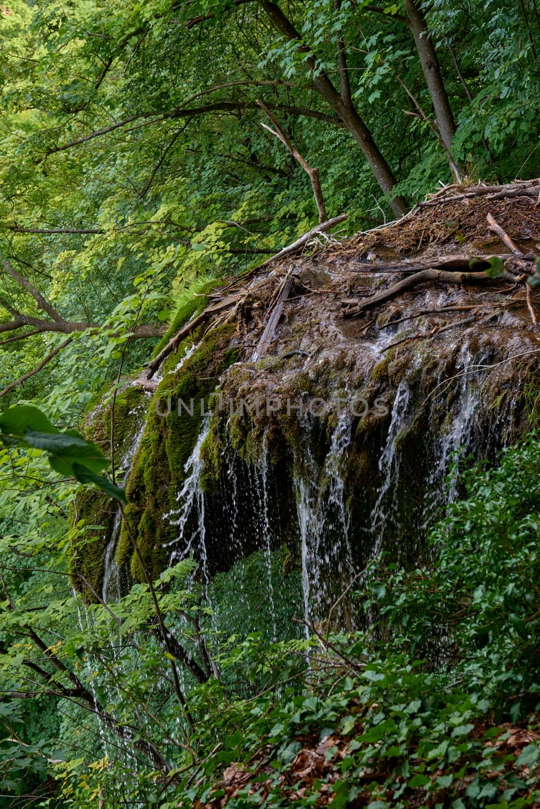 Tranquil Summit Panorama: Majestic Waterfall View amidst Black Forest Scenery in Germany. Riverside Cabin Retreat: Tranquil Hideaway in Germany's Scwarzwald amid Lush Greenery. by Andrii_Ko