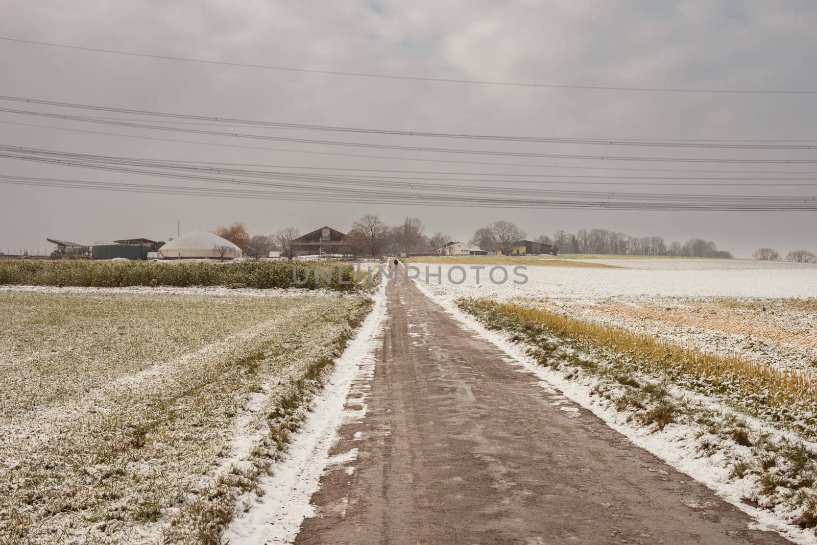 Harmony of Winter Elements: Snow-Clad Fields, Scenic Rural Roads, and the Festive Spirit of Christmas. Winter Symphony: Snow-Covered Fields, Rural Roads, and Christmas Delight by Andrii_Ko