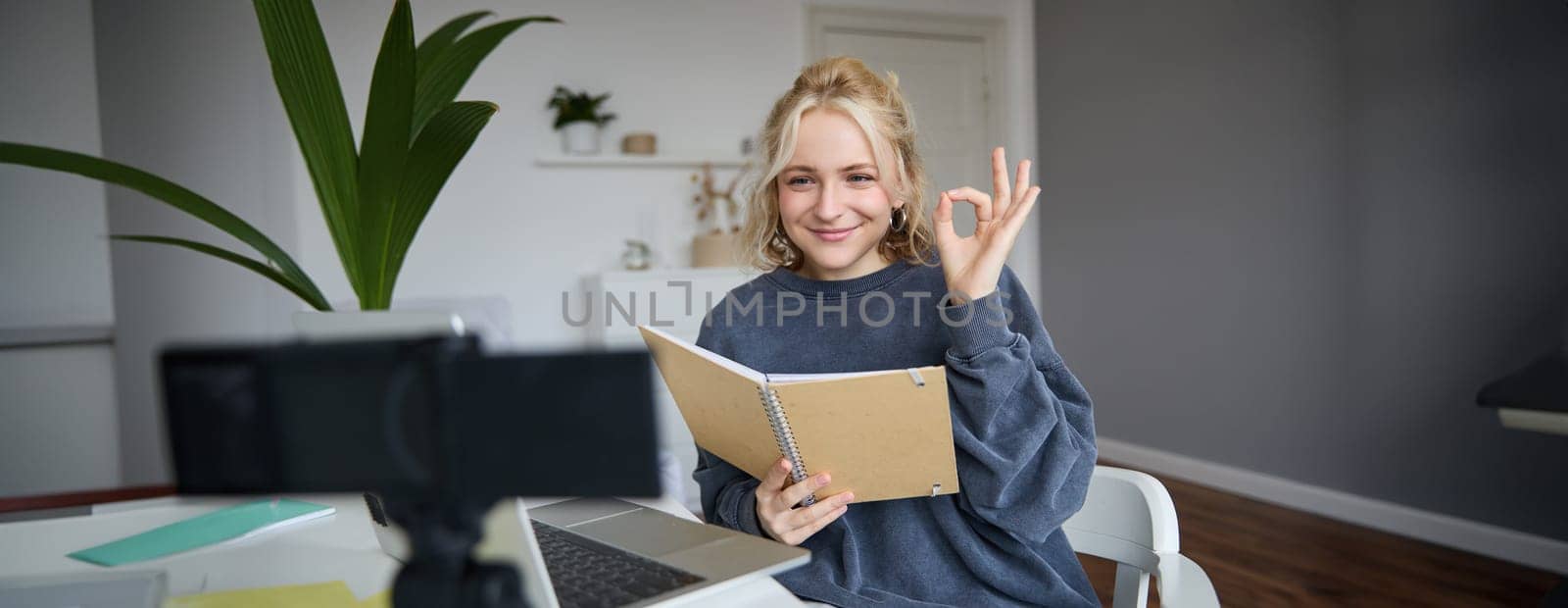 Portrait of smiling young woman, holding notebook, showing okay, ok sign, looking at digital camera, recording video, creating content.