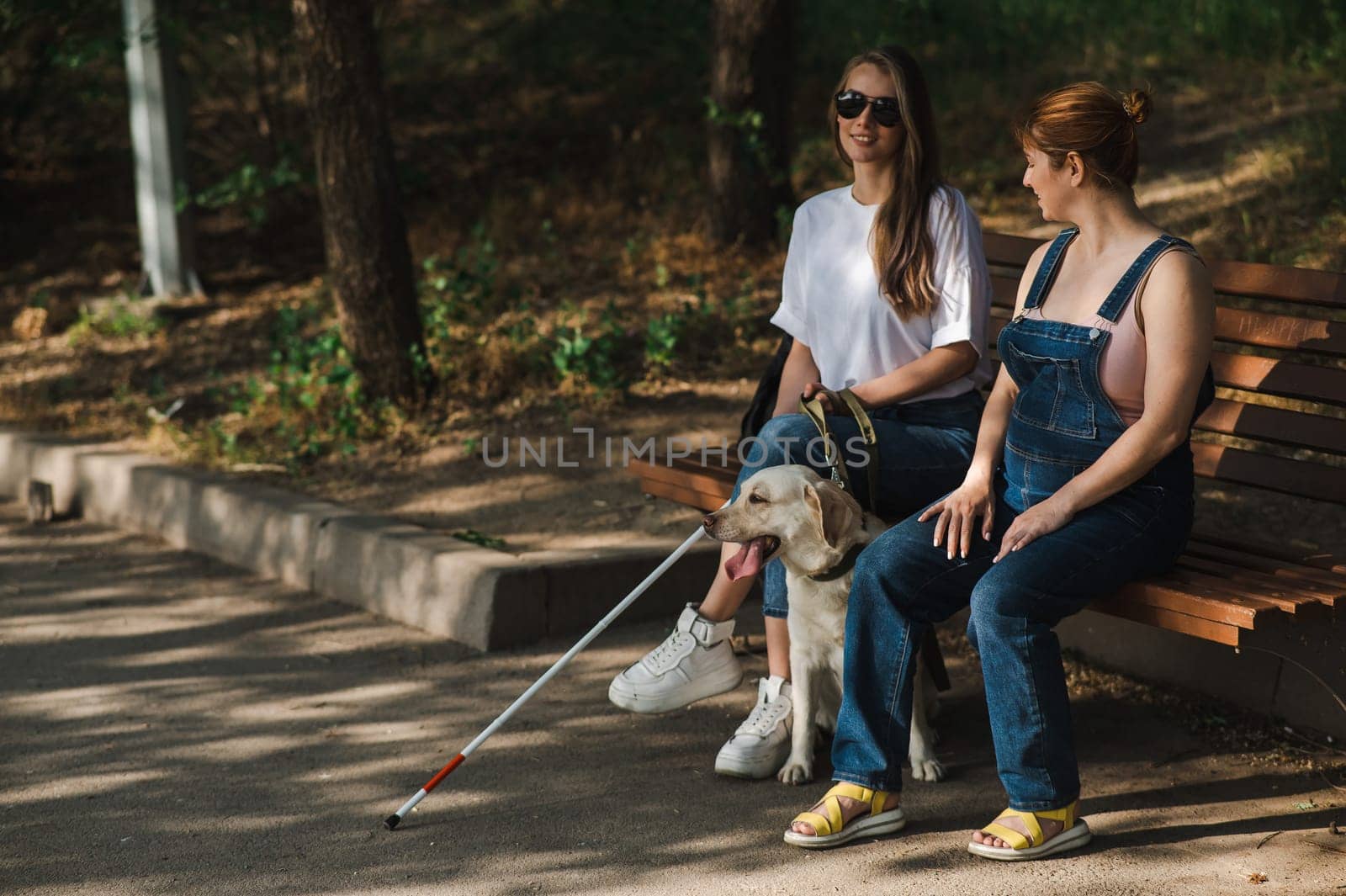 Blind caucasian woman sitting on bench with guide dog and pregnant friend. by mrwed54