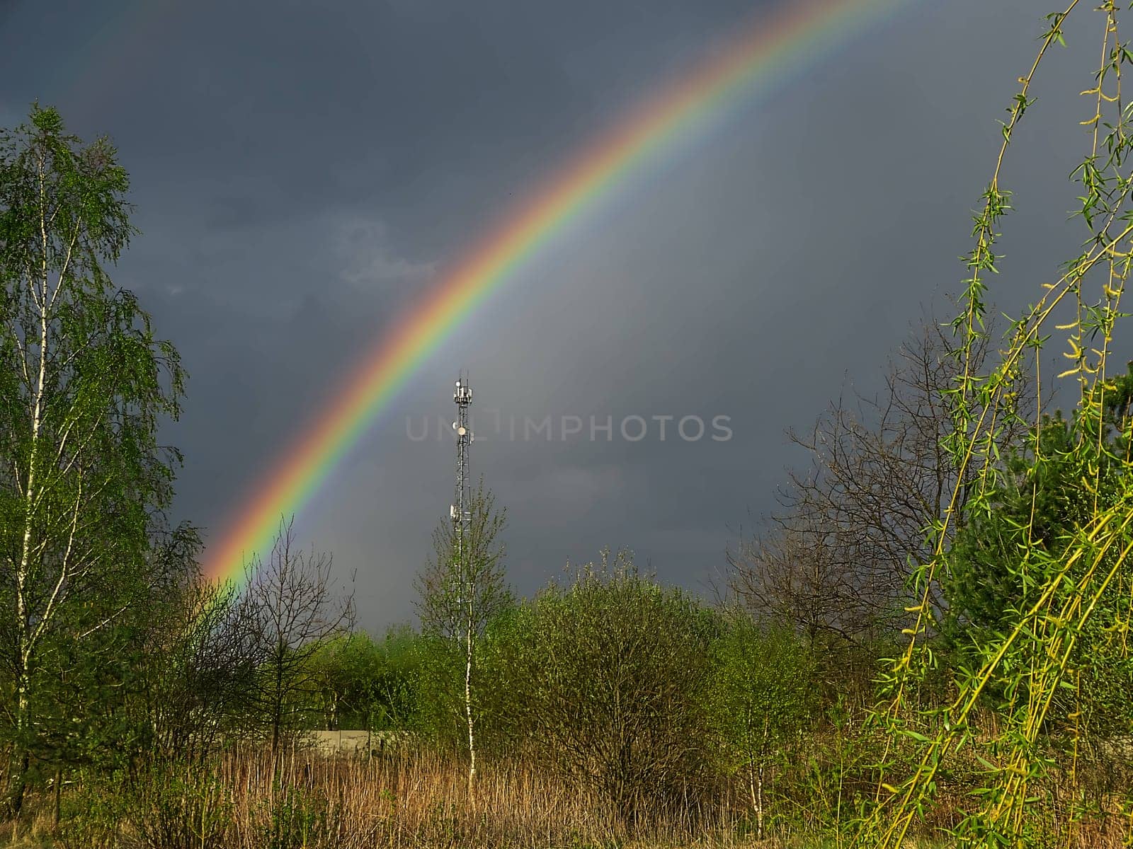 A beautiful and rare sight of a rainbow gracing the overcast sky, adding a burst of vibrant colors to the otherwise gloomy weather.