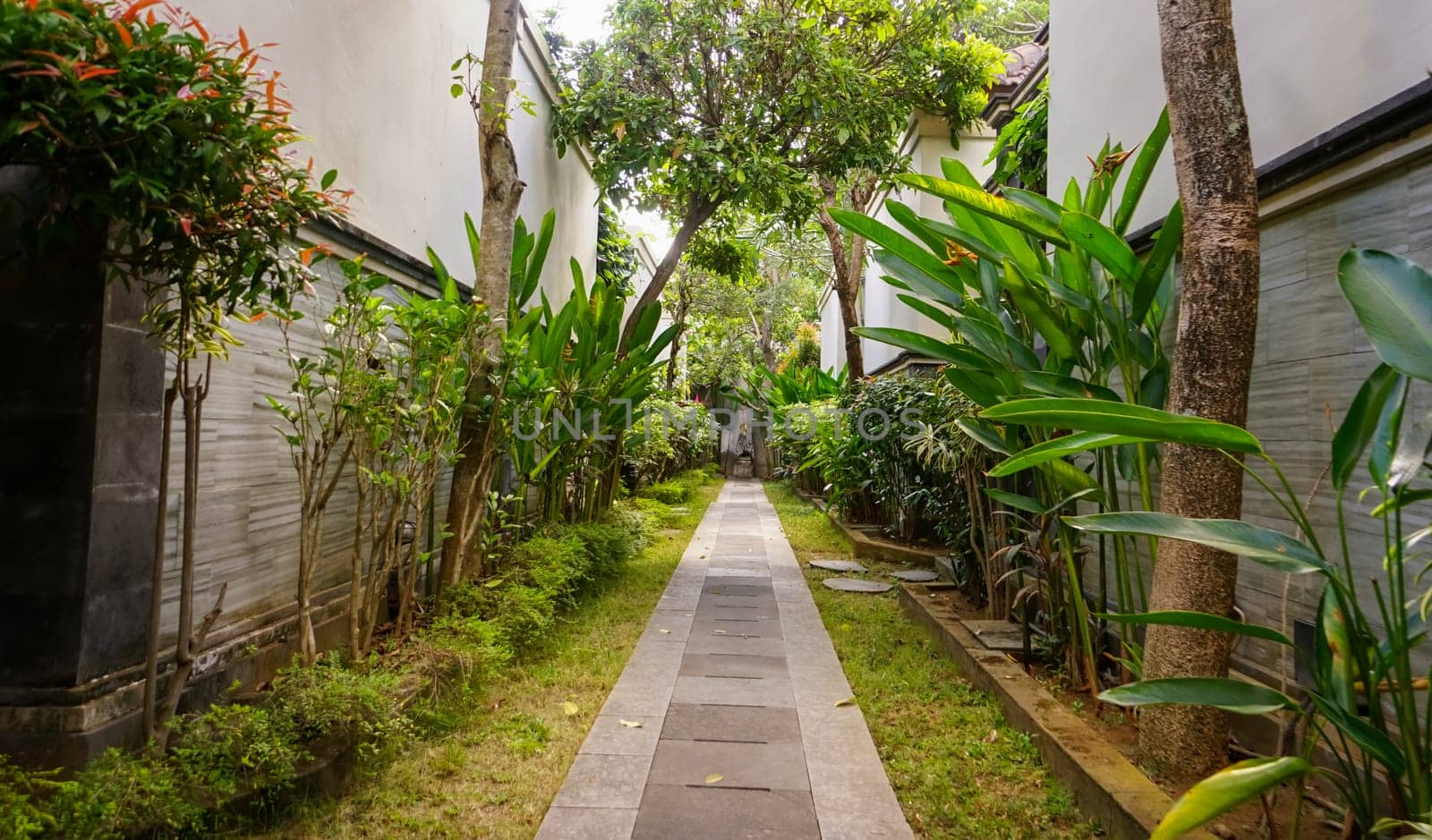 Beautiful green tropical garden outdoor veranda with ecological plants surrounded nature in Asia, Bali Indonesia