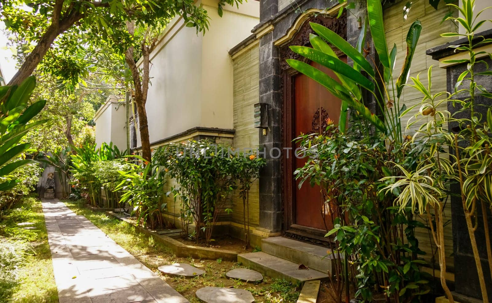 Beautiful green tropical garden outdoor veranda with ecological plants surrounded nature in Asia, Bali Indonesia