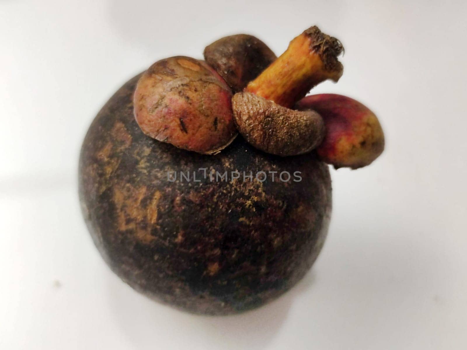 tropical fruit mangosteen closeup on white background.