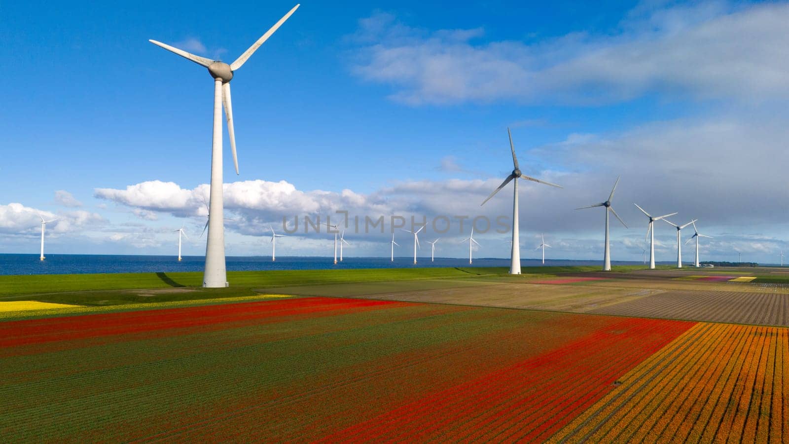 A serene landscape in the Netherlands, showcasing a wind farm with numerous windmills standing tall in the background, harnessing the power of the wind on a peaceful Spring day by fokkebok