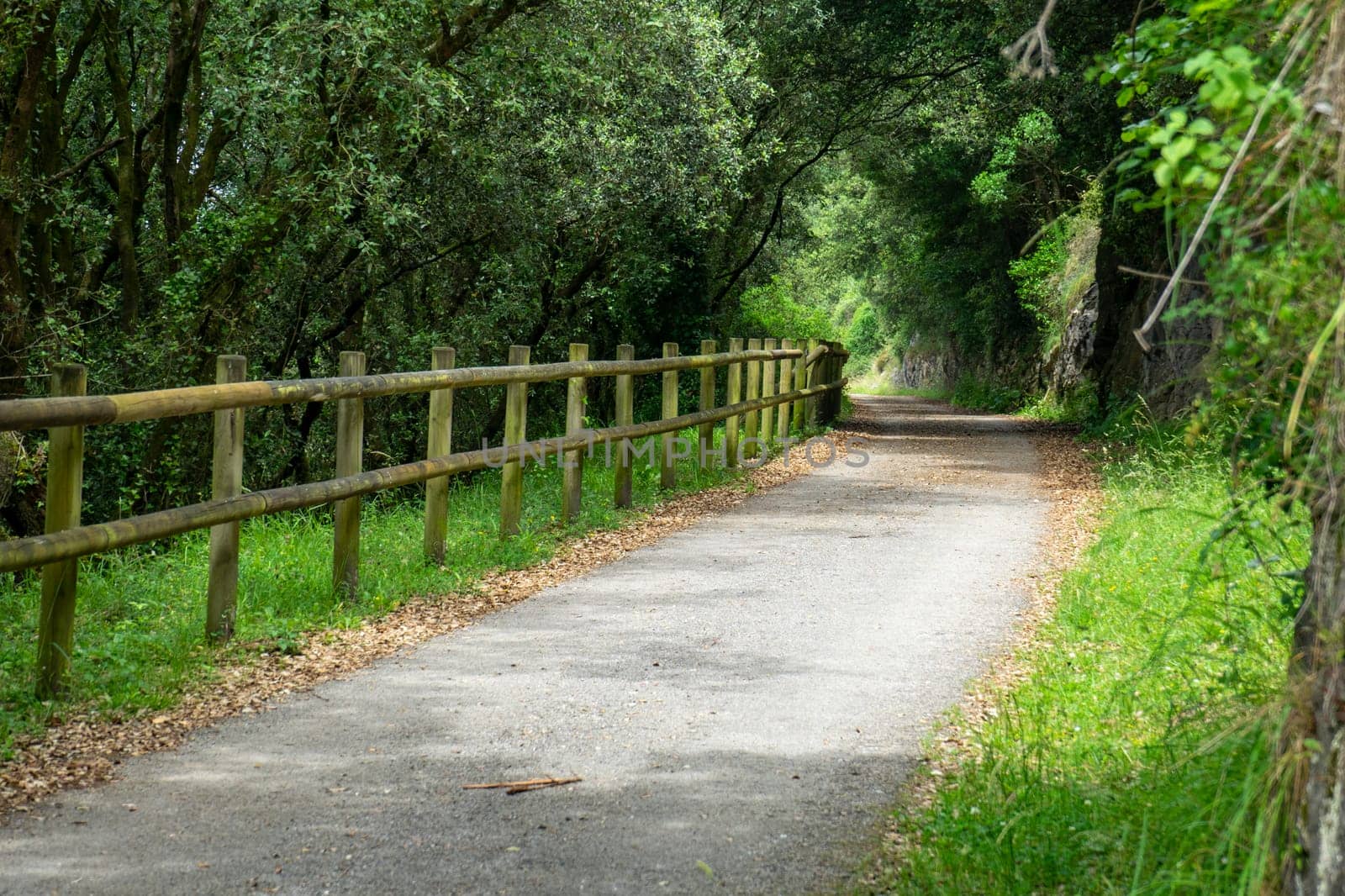 walking path with wooden fencing. Camino de Santiago, Basque Country, Spain by paca-waca