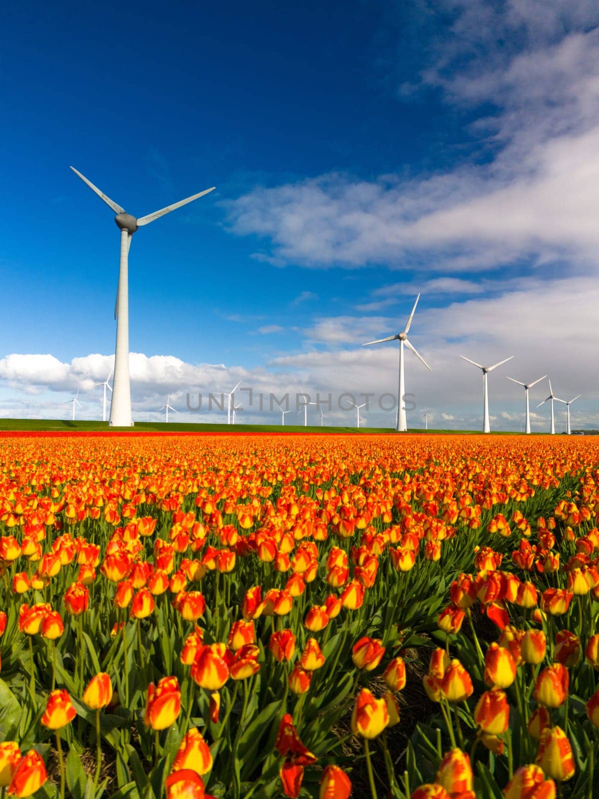 offshore windmill park with clouds and a blue sky, windmill park in the ocean drone aerial view with wind turbine Flevoland Netherlands Ijsselmeer by fokkebok