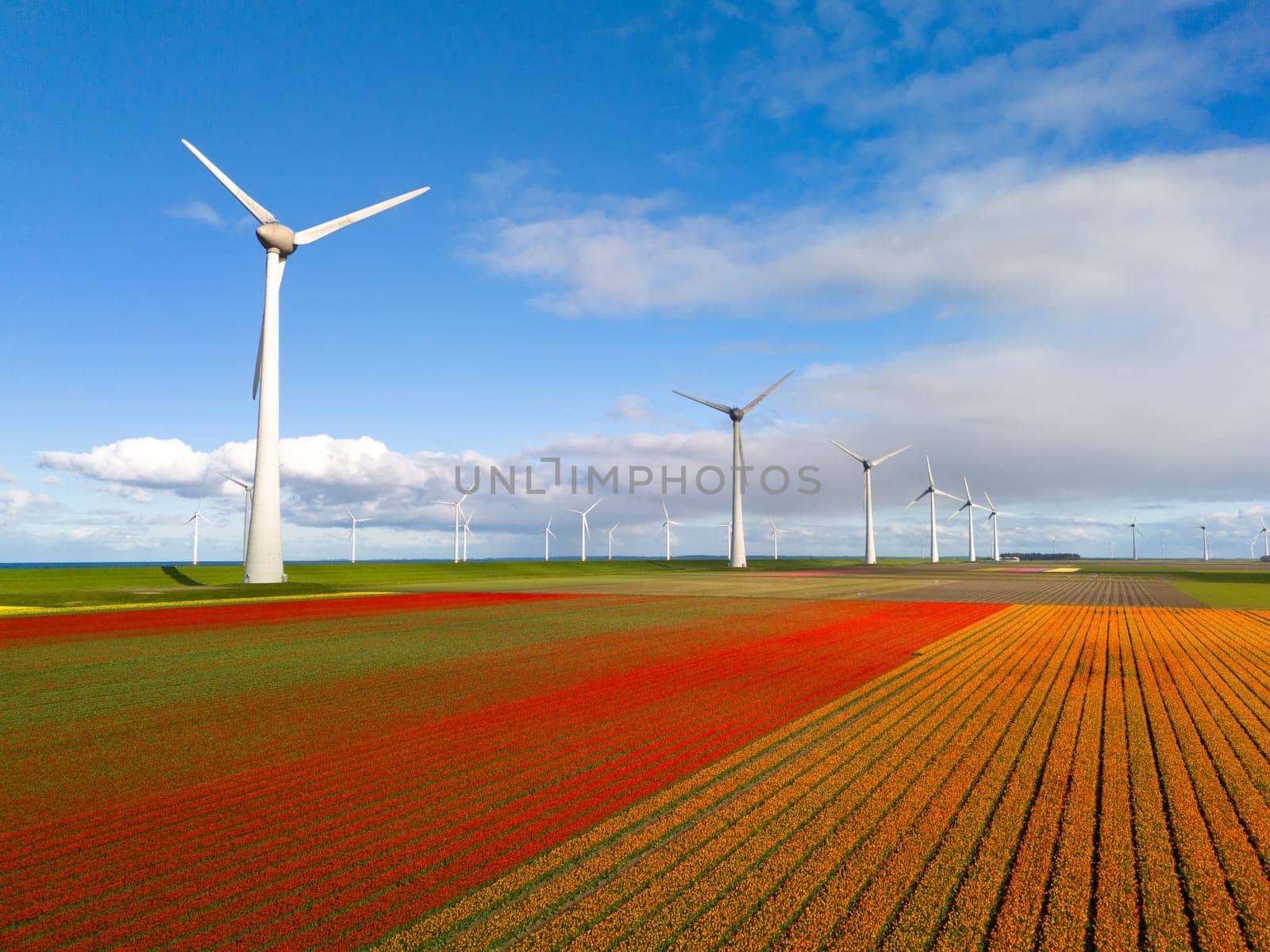windmill park with spring flowers and a blue sky, drone view from above windmill park in the Netherlands aerial view with wind turbine and tulip flowers, Green energy, energy transition