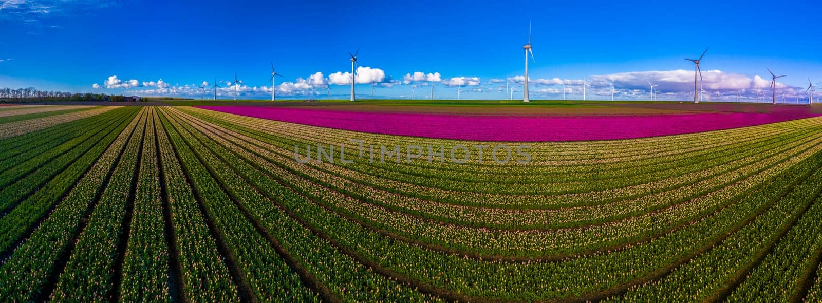 offshore windmill park with clouds and a blue sky, windmill park in the ocean drone aerial view with wind turbine Flevoland Netherlands Ijsselmeer by fokkebok