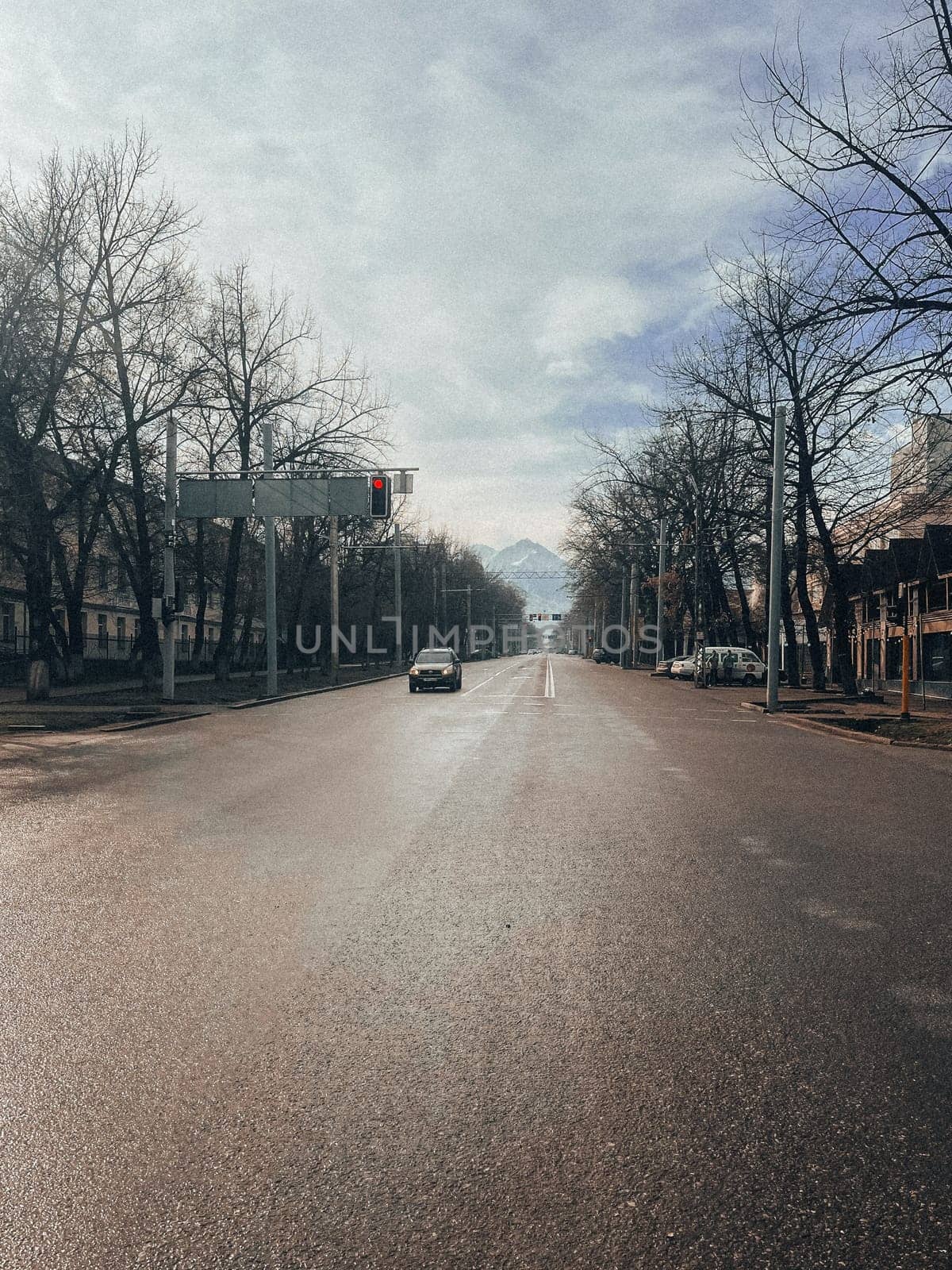 A long empty city street with snow-covered trees and distant snow-capped mountains under blue sky. Wet from rain or melted snow, no cars.