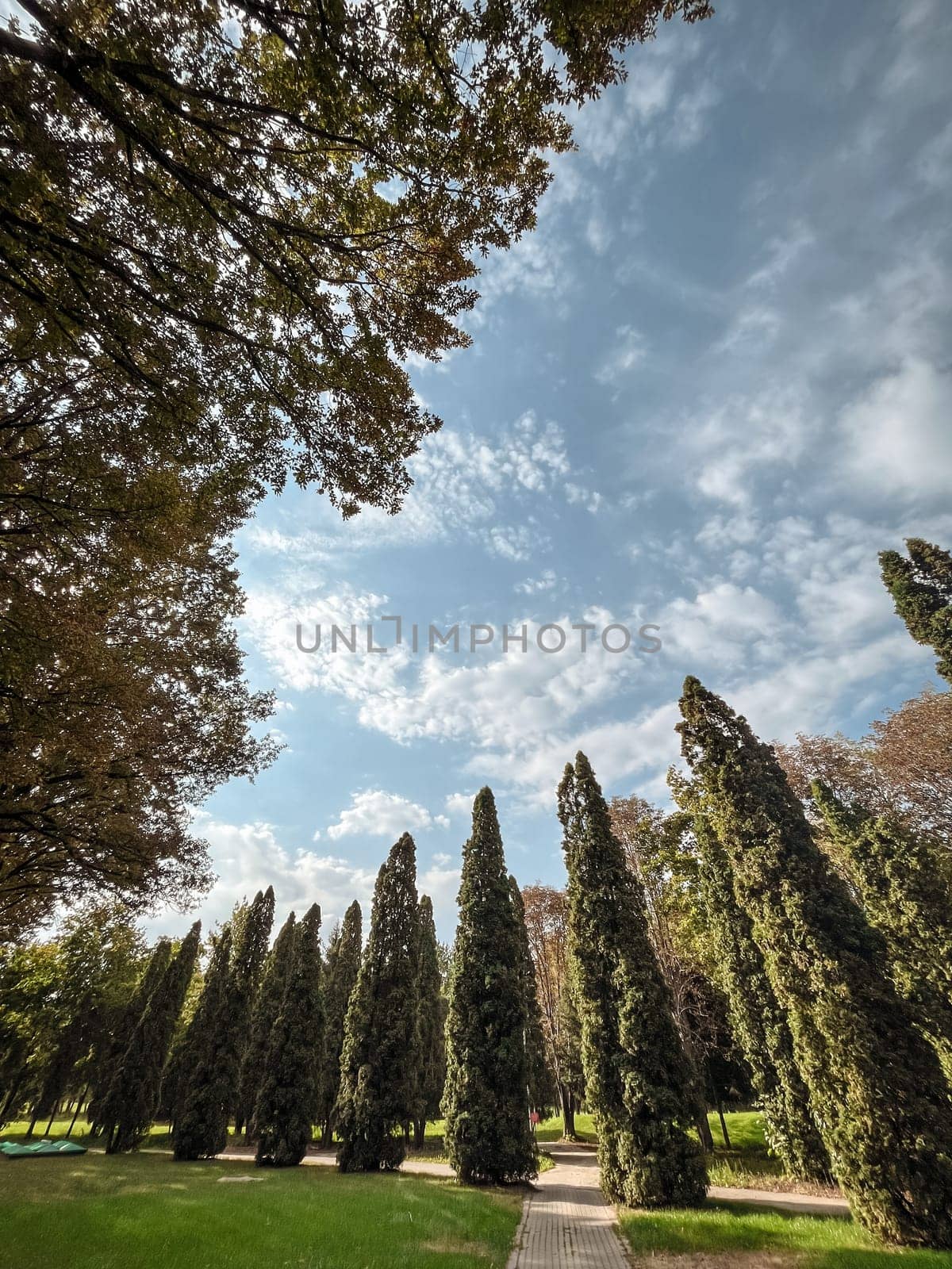 The image shows a park with lots of green trees, a clear blue sky, and a paved walkway in the foreground.