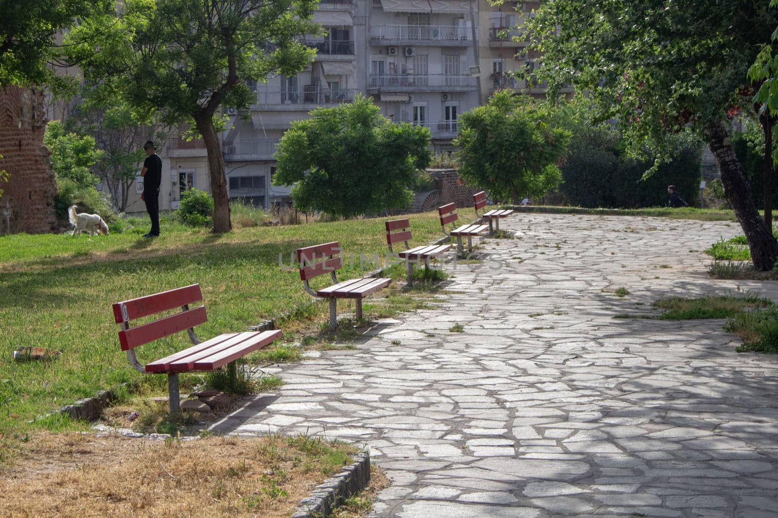 Thessaloniki Cityscape: Row of Benches in Urban Setting by DakotaBOldeman