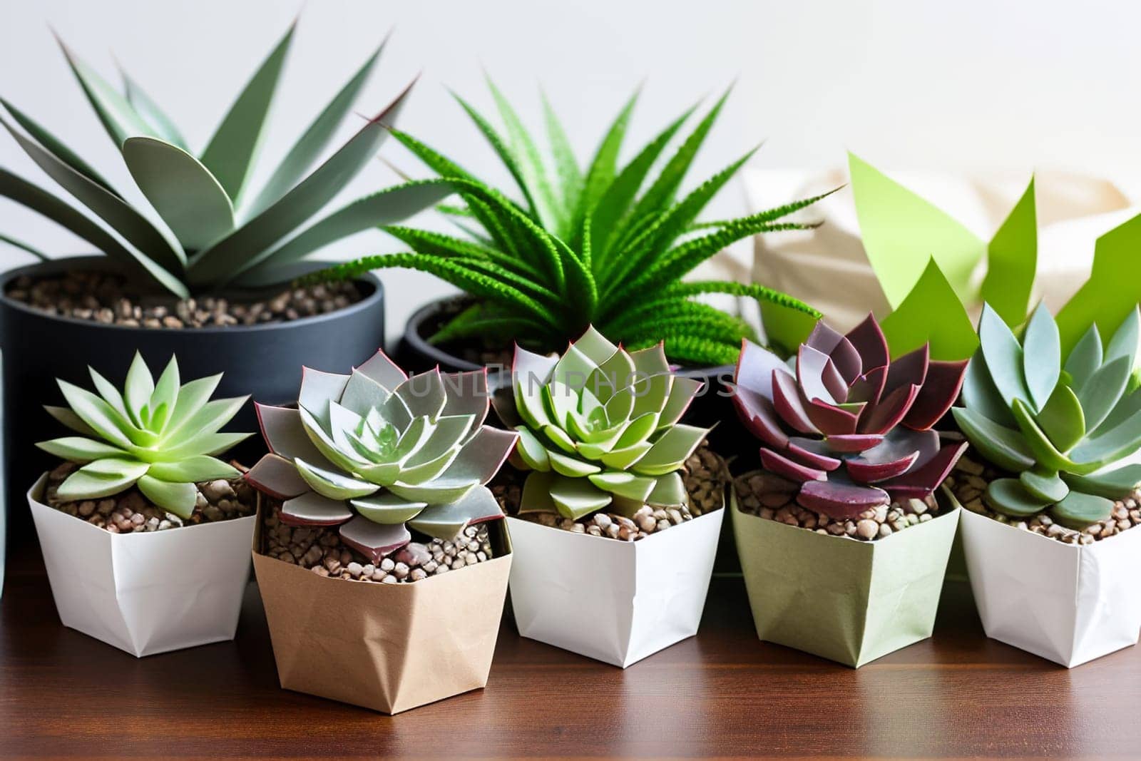 A large set of succulents in an eco-paper bag. Eco-friendly reusable eco-bag and succulents. Shop of indoor plants
