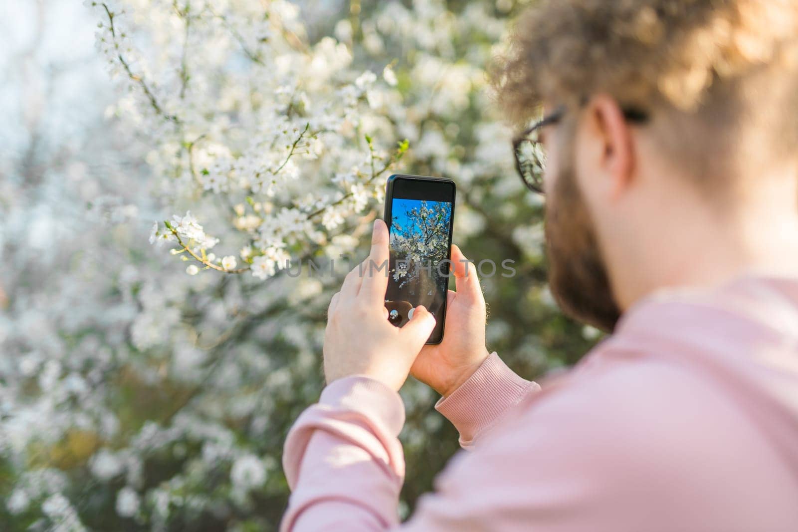 Man holding mobile phone and take photo blooming spring cherry and apples trees in sunlight. Smartphone photo for social media. Copy space.