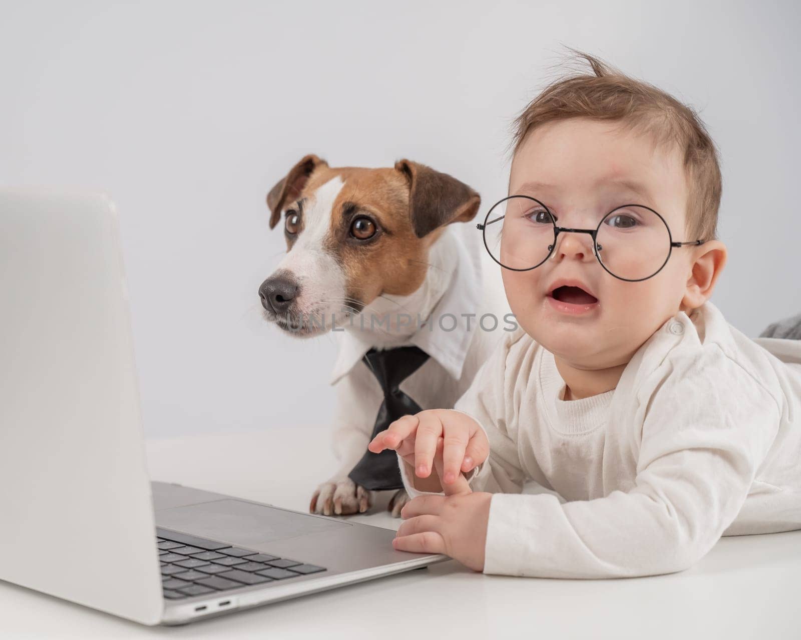 Cute baby boy and Jack Russell terrier dog working on a laptop. by mrwed54
