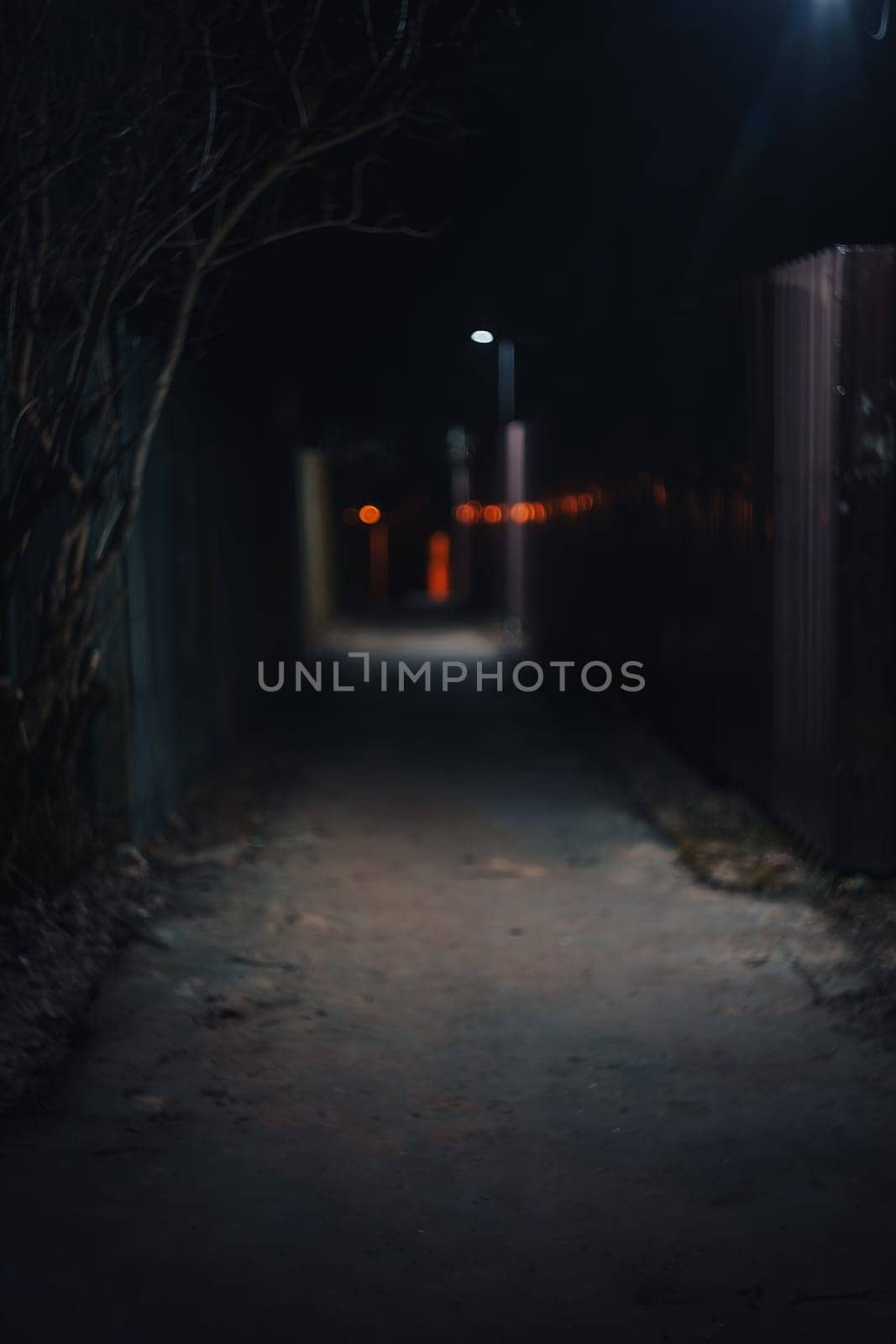 Street photo of Night Lane. High quality photo