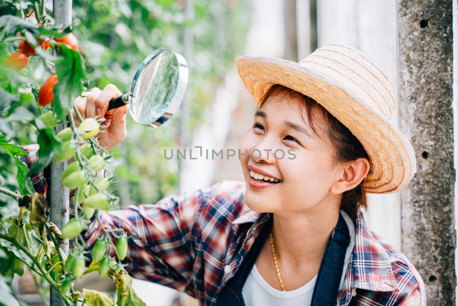 In a tomato greenhouse a young woman farmer uses a magnifying glass to closely examine vegetable tomatoes. Expertise and learning in farming science exploring growth and biology.
