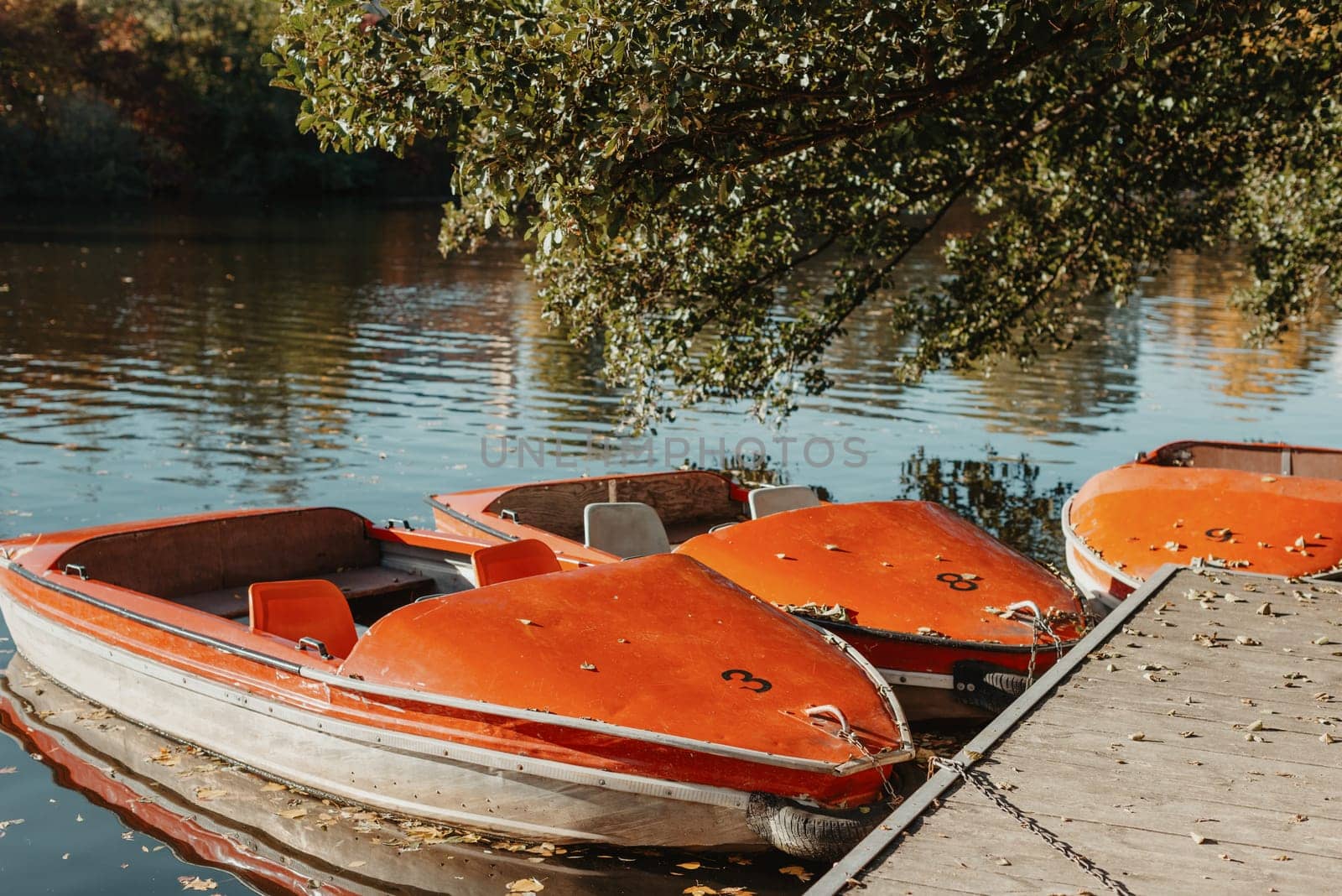 Several boats with oars are moored at the water's edge at the pier in the city park for water walks on the river, lake or pond.