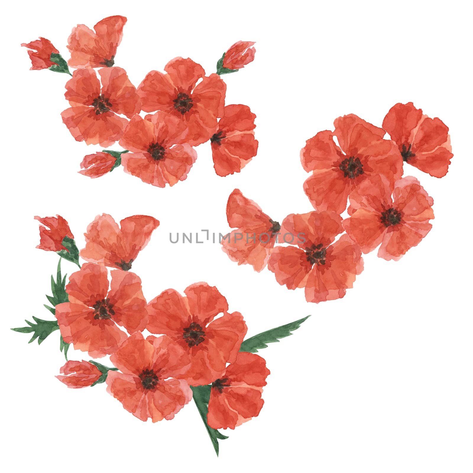 Red poppies and forget-me-nots bouquets. Poppy day compositions. Hand drawn watercolor illustration for card, banners, commemorative events, memorial by Fofito