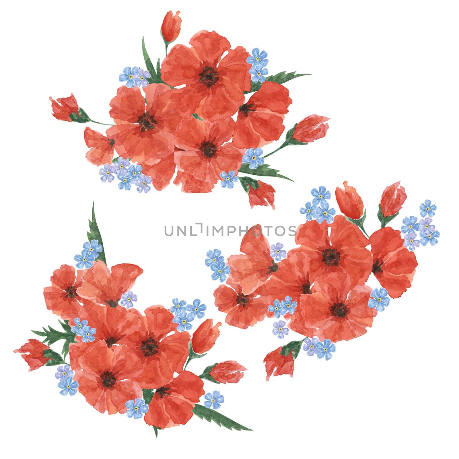 Red poppies and forget-me-nots bouquets. Poppy day compositions. Hand drawn watercolor illustration for card, banners, commemorative events, memorial by Fofito