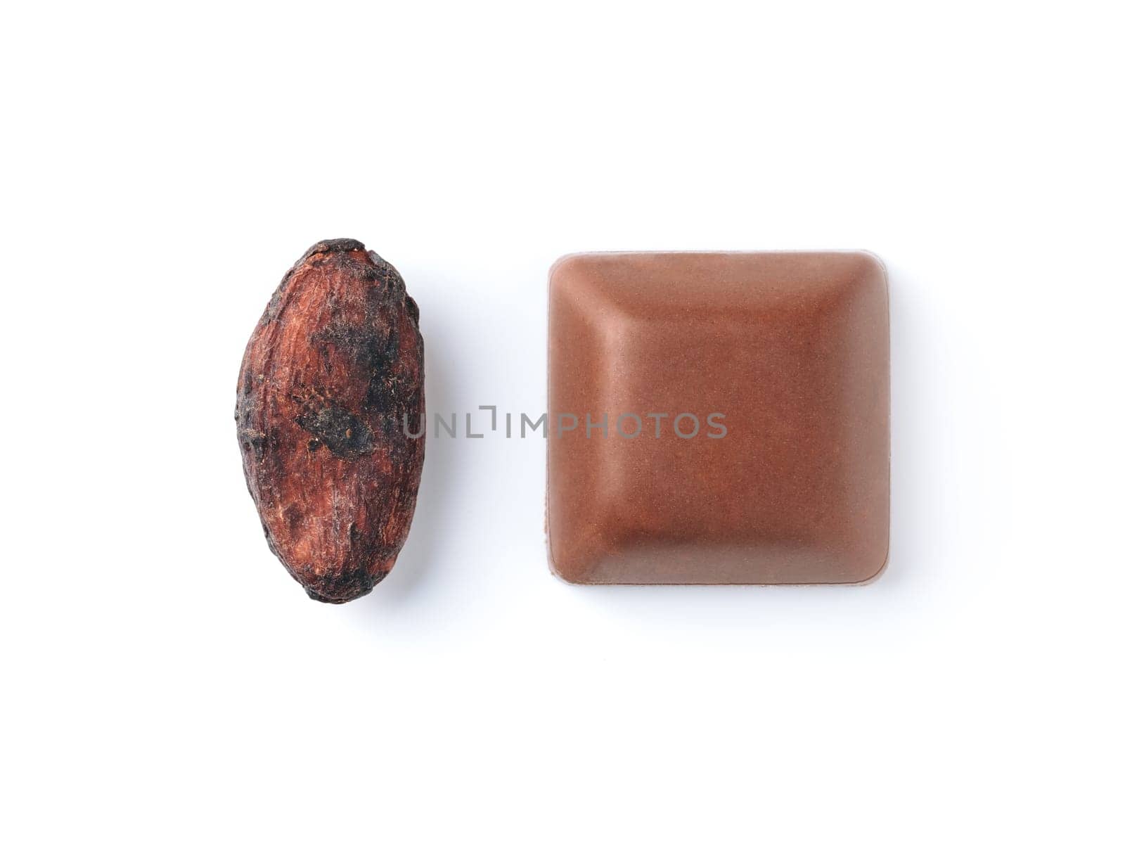 Raw cacao bean and chocolate piece on white background. Isolated on white with clipping path. Copy space for text.