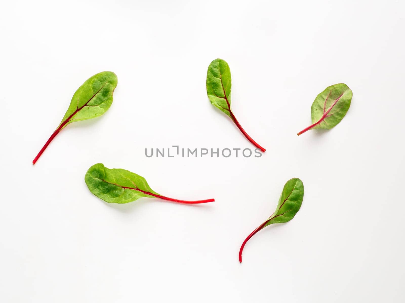 Set of fresh green chard leaves or mangold salad leaves on white background. Flat lay or top view fresh baby beet leaves, isolated on white background with clipping path.