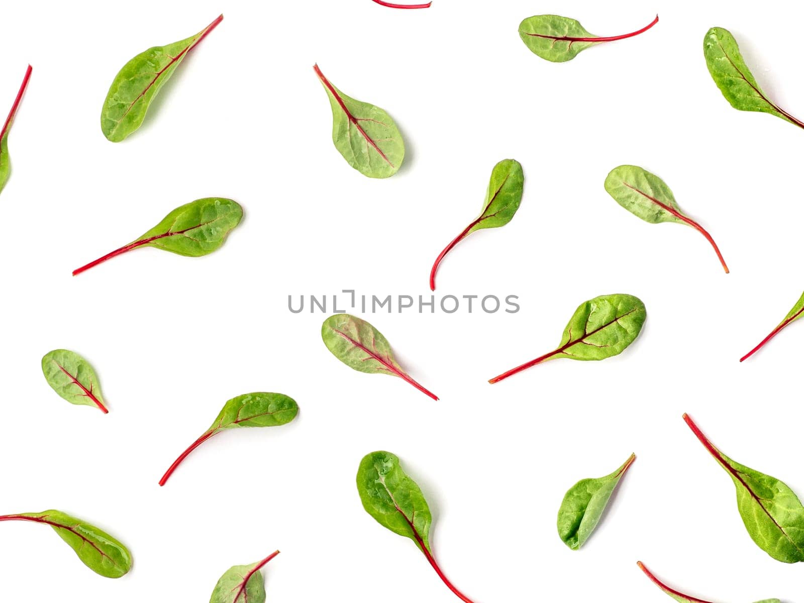Pattern of fresh green chard leaves or mangold salad leaves on white background. Flat lay or top view fresh baby beet leaves pattern, isolated on white background with clipping path.